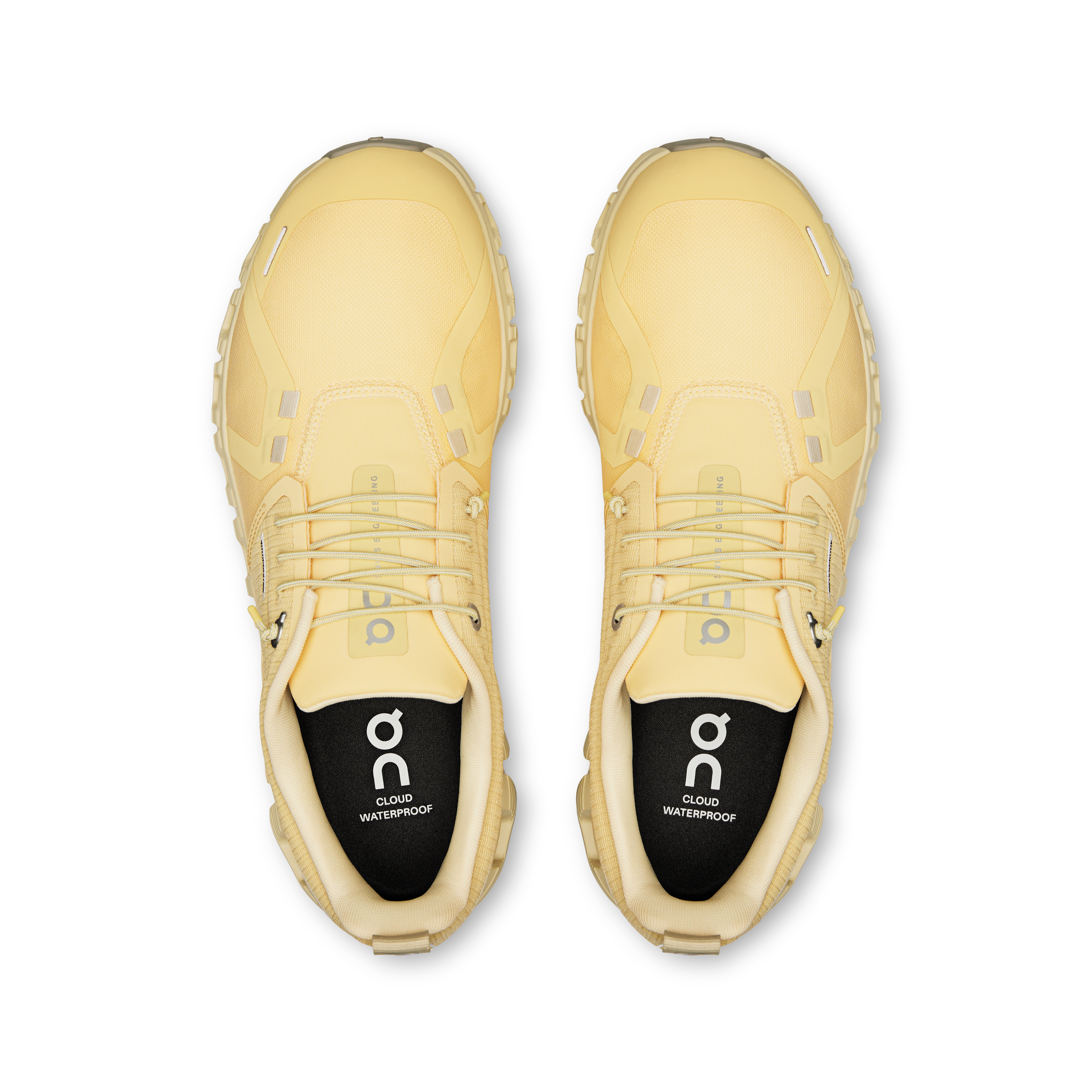 Cloud 6 WaterproofWomen / Nectar | Castor / 41