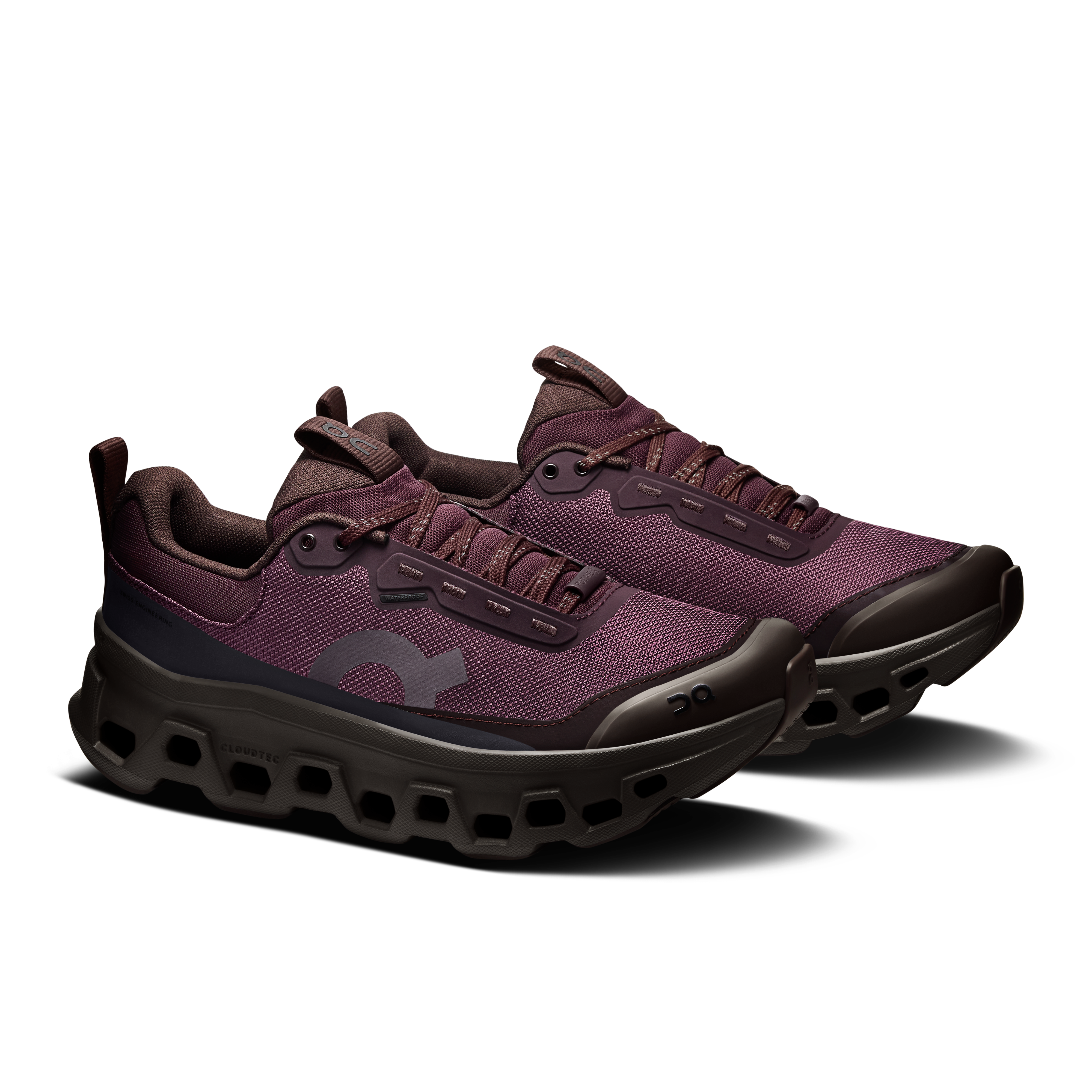 On Cloudmonster 1 Waterproof Urchin & Pebble Women Active life Shoes