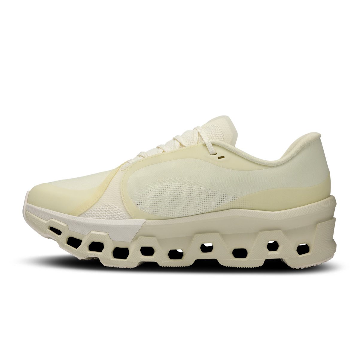Women's Cloudmonster 2 PAF