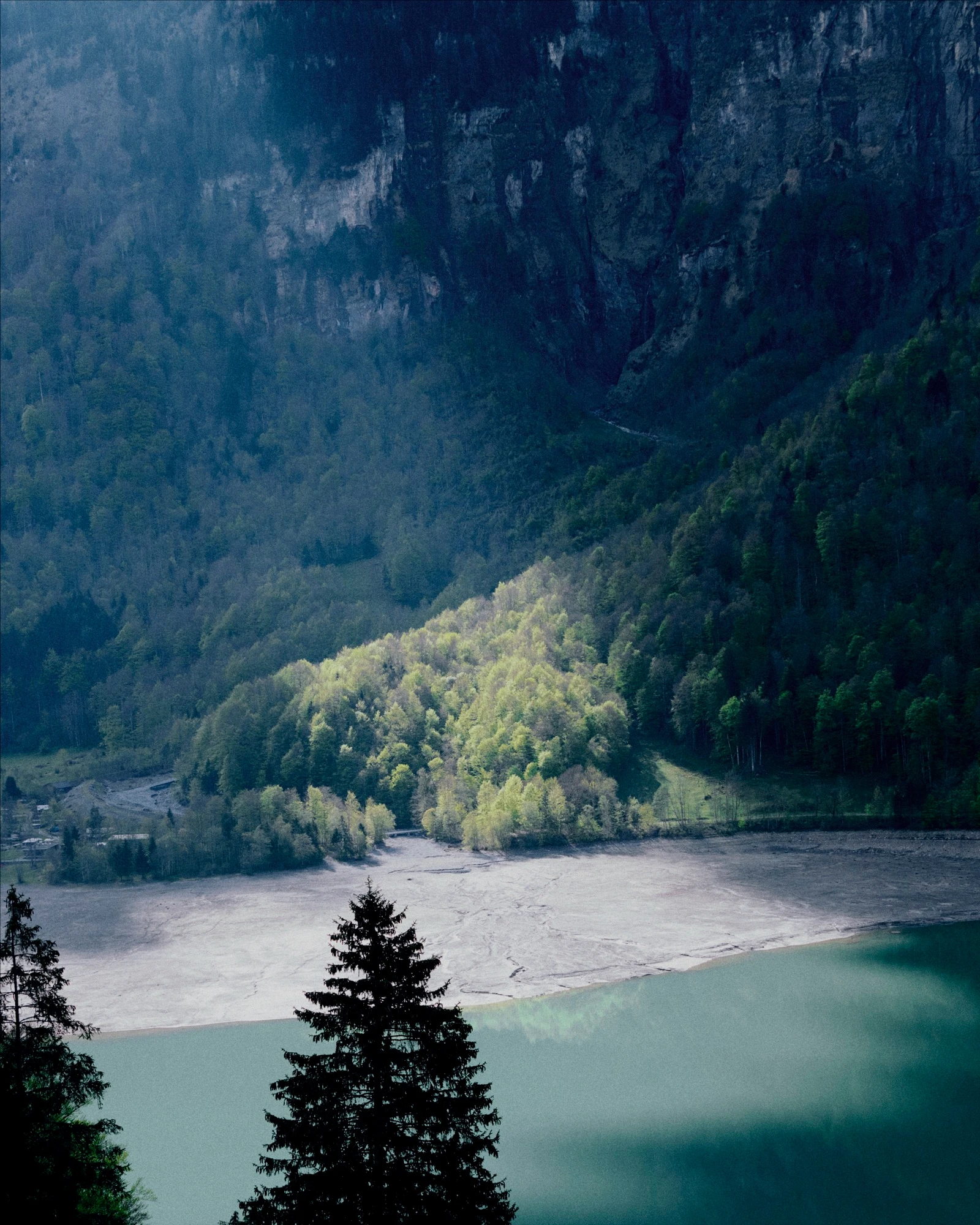 El sol brilla sobre un río con una montaña boscosa al fondo.