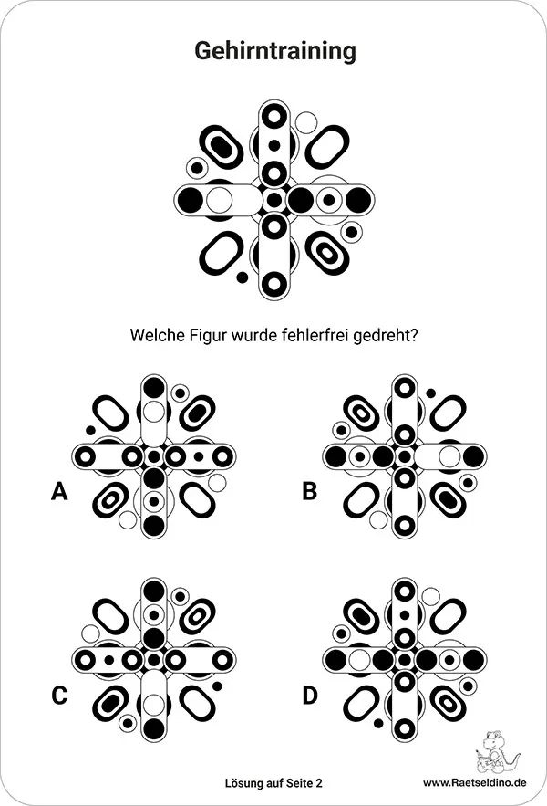 gehirntraining-welche-figur-wurde-fehlerfrei-gedreht