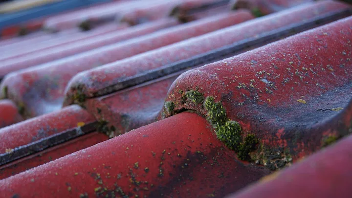 Close view of weathered red roof tiles with visible color variation and moss along the edges