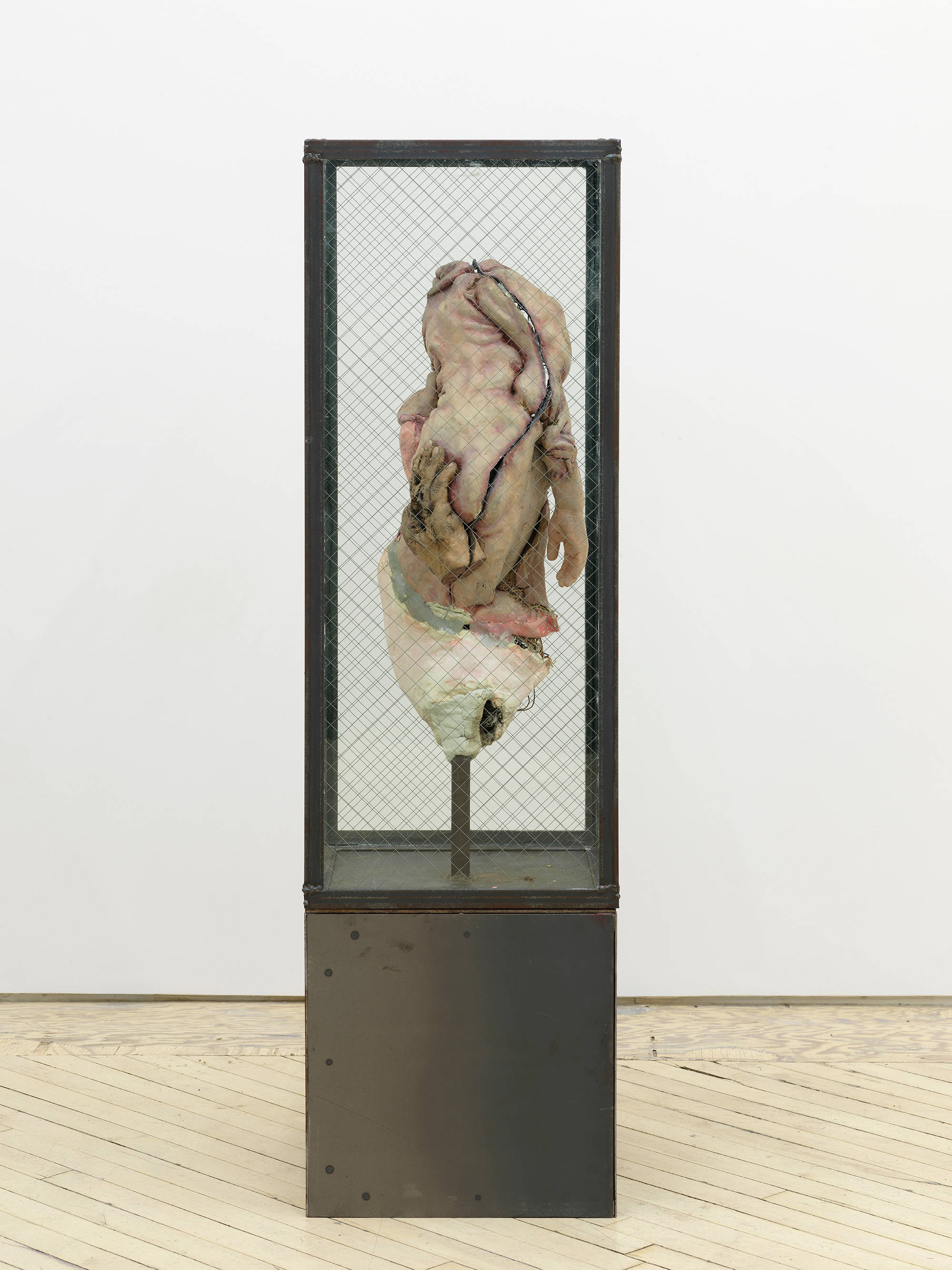 A standing steel sculpture resembling a cage containing an abstract form resembling human flesh.
