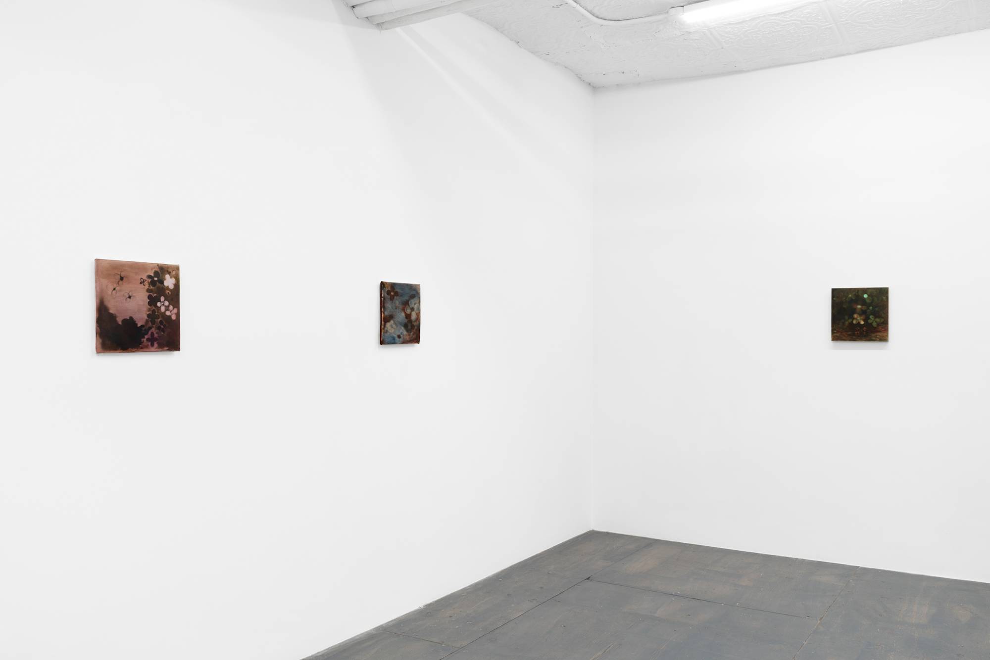 Three small abstract paintings of flowers featuring various colors spaced evenly in the corner of a brightly lit gallery with grey wood floor.