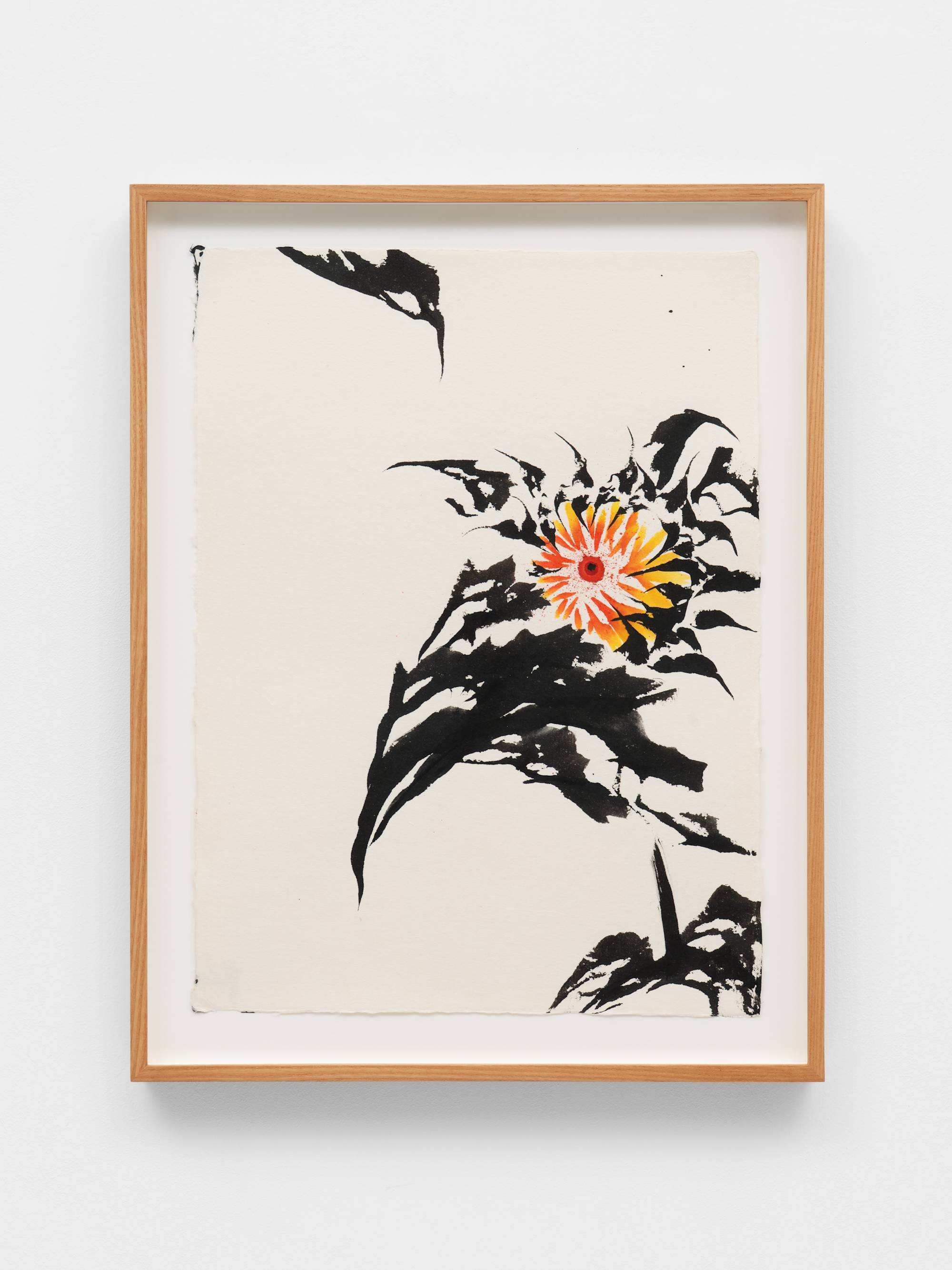 An ink painting on white paper of a small red-orange surrounded by expansive black leaves. The mass of leaves and the flower are oriented towards the right of the composition; the leaves extend towards the middle of the composition. The center of the sunflower is a bright red dot with a smaller, dark dot in its center. The frame and the wall the work is mounted on is visible in the shot.