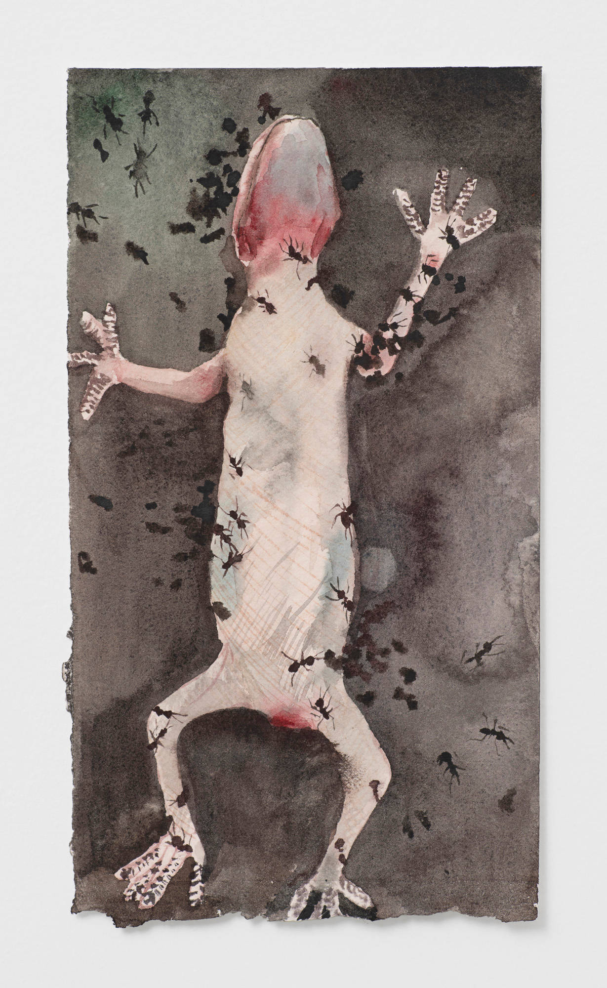 A watercolor painting on paper depicts a dead lizard laying belly up on a green and grey background. Ants are crawling over it.