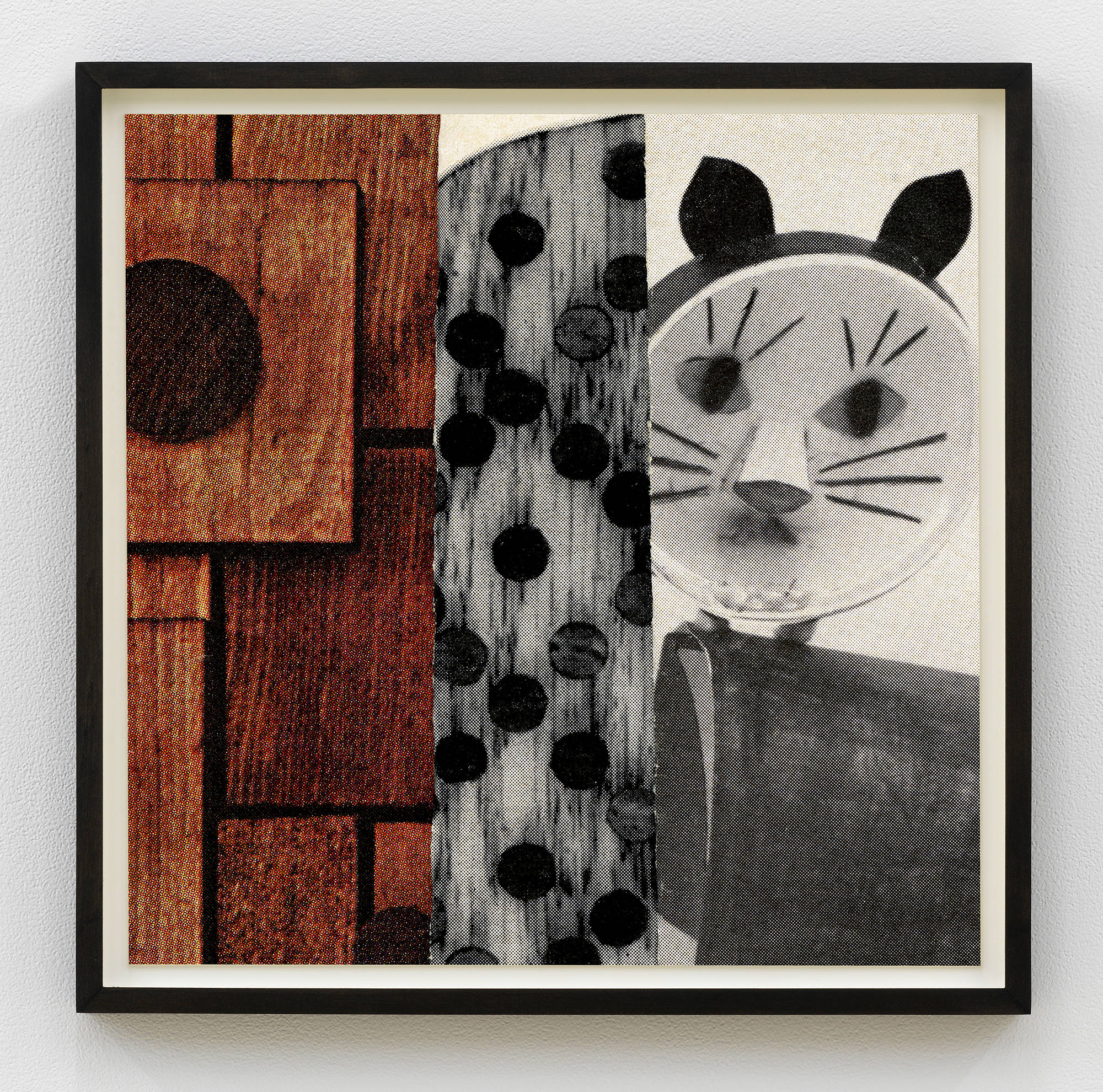 A square photograph depicting collaged elements primarily a cartoon cat head in a dark wood frame.