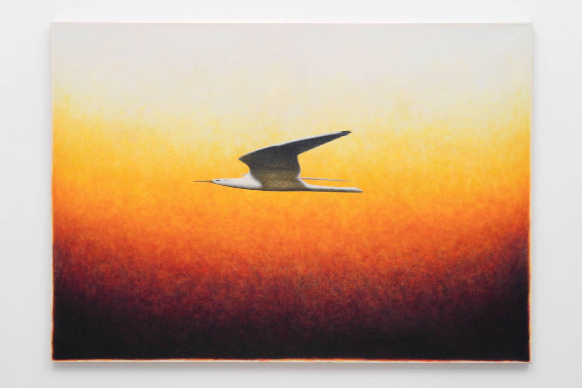 Ian Miyamura painting depicting a stretched seagull flying to the left against an orange gradient stippled background.
