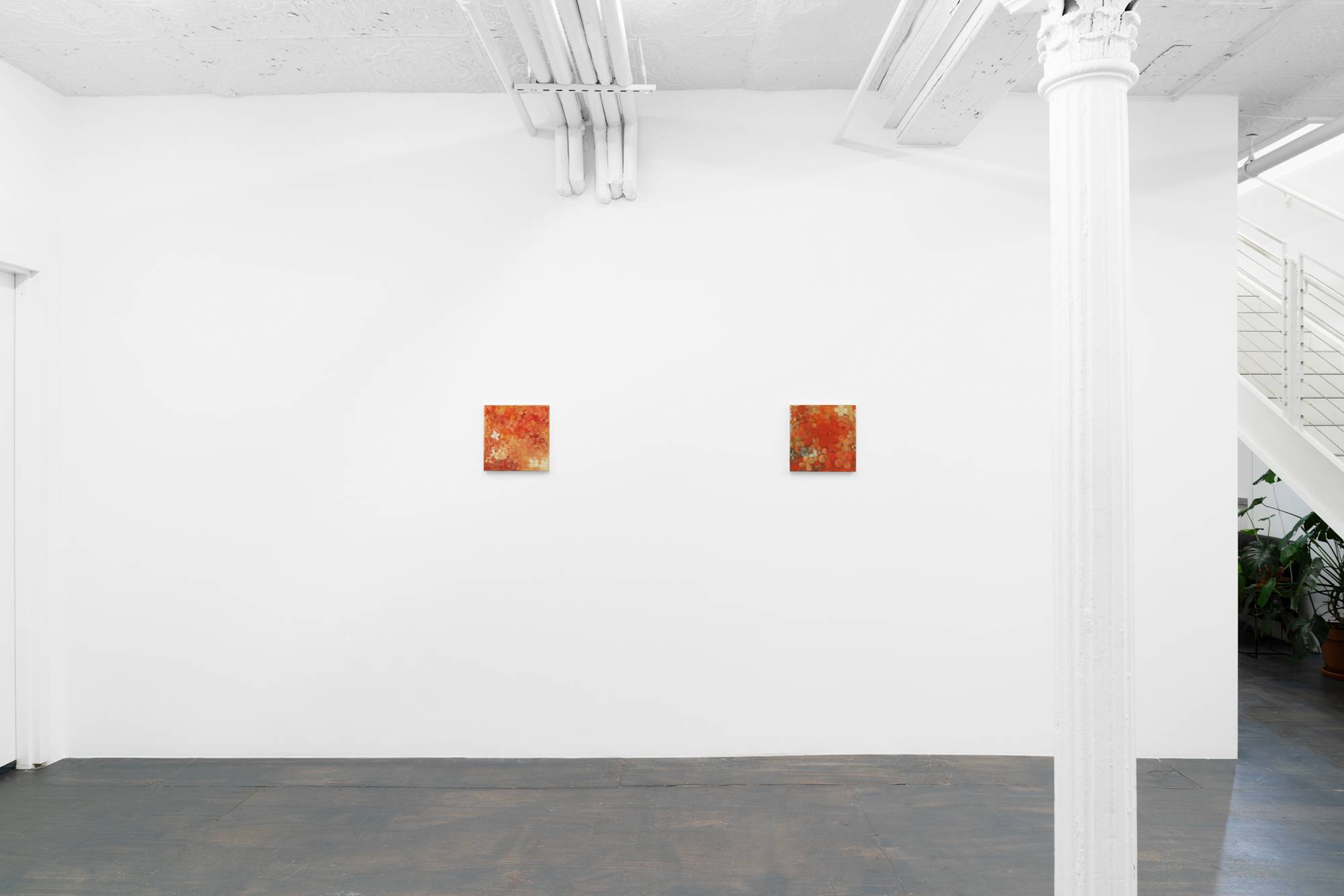 Two small abstract paintings of flowers in hues of red hang near each other on the wall in a brightly lit gallery space.