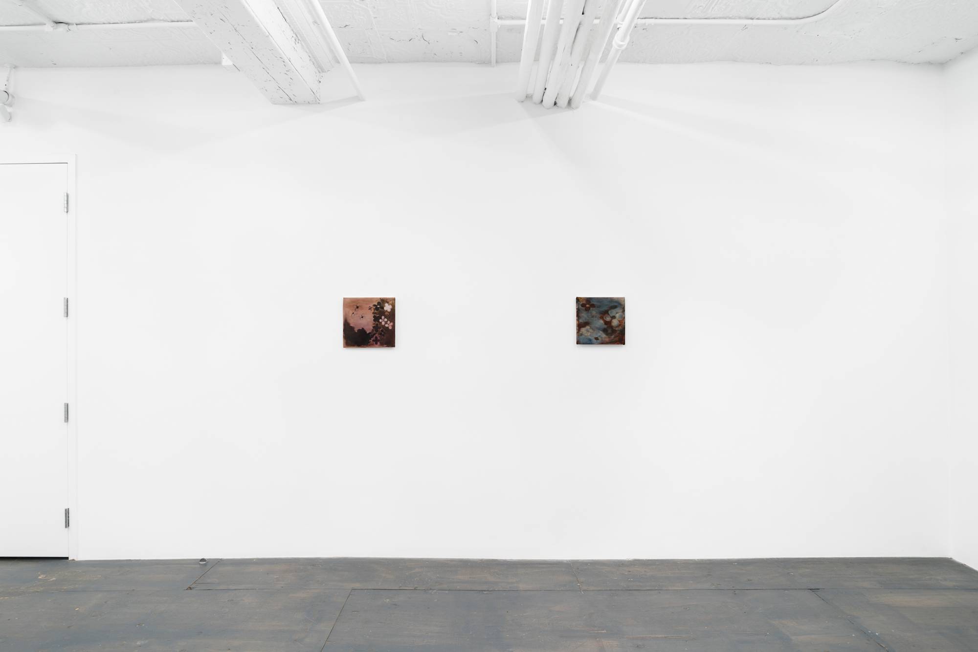 Two small abstract paintings of flowers in hues of pink, brown, and blue hang near each other on the wall in a brightly lit gallery space.