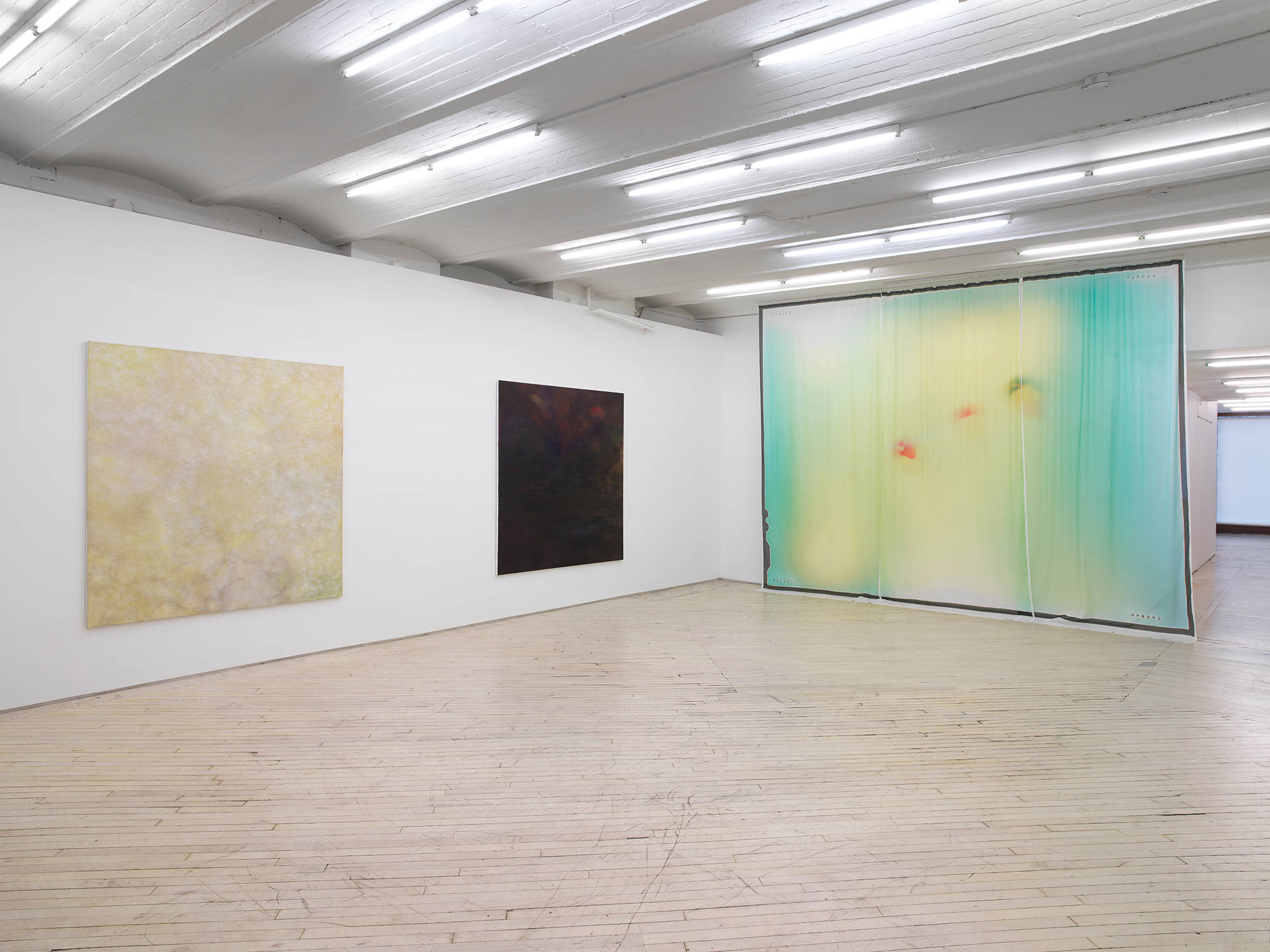 Image of an installation view with two paintings by Kate Spencer Stewart on the left side of the image and a curtain work by Ketuta Alexi-Meskhishvili to the right, with a hallway on the far right.