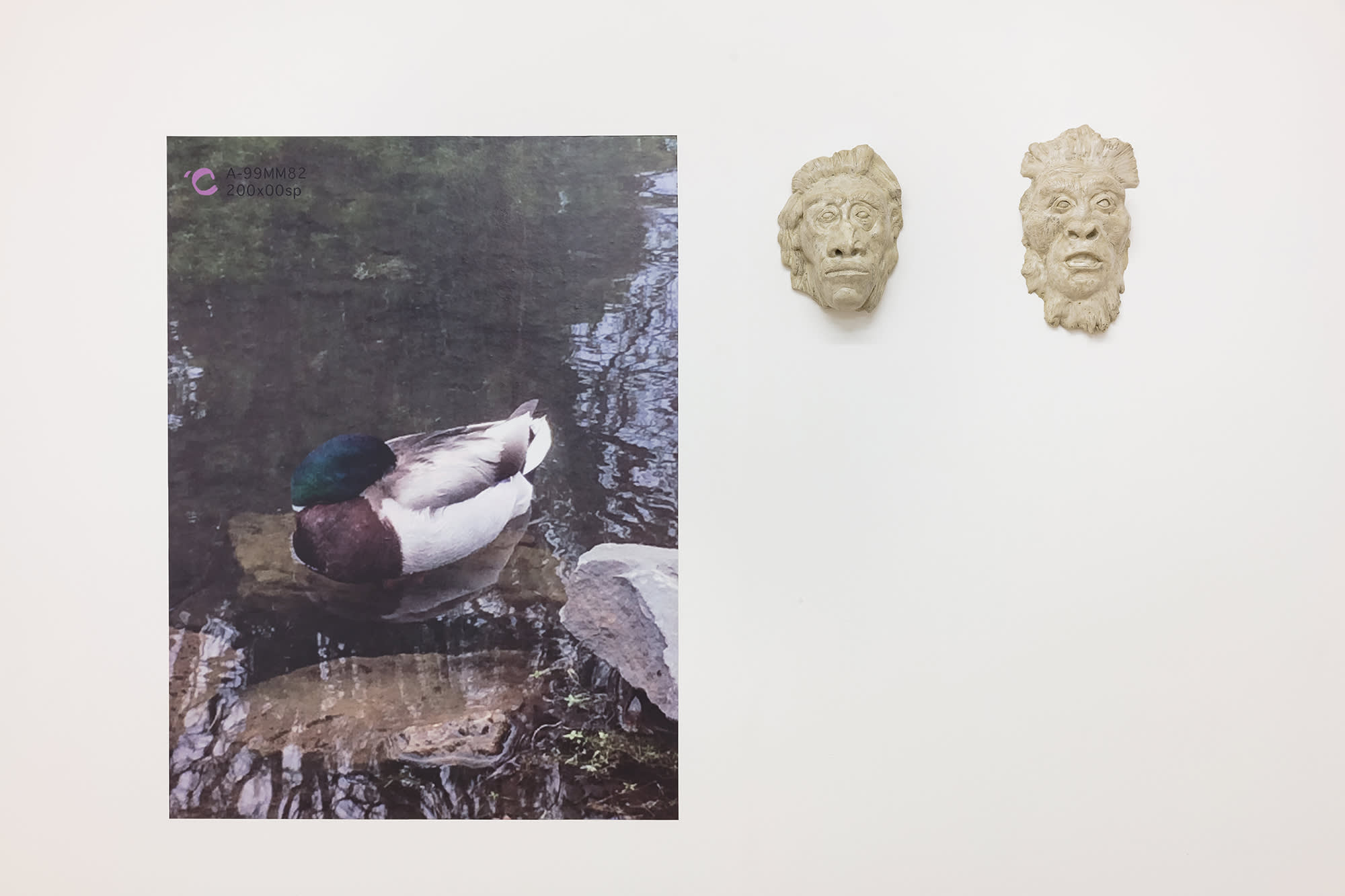 Large color photograph mounted to the wall like a poster showing a brown and white duck with a blue-green head sitting on the side of a pond. Next to the poster aligned with the top of the image are two cast bas-relief sculptures of the heads of two humanoid faces.