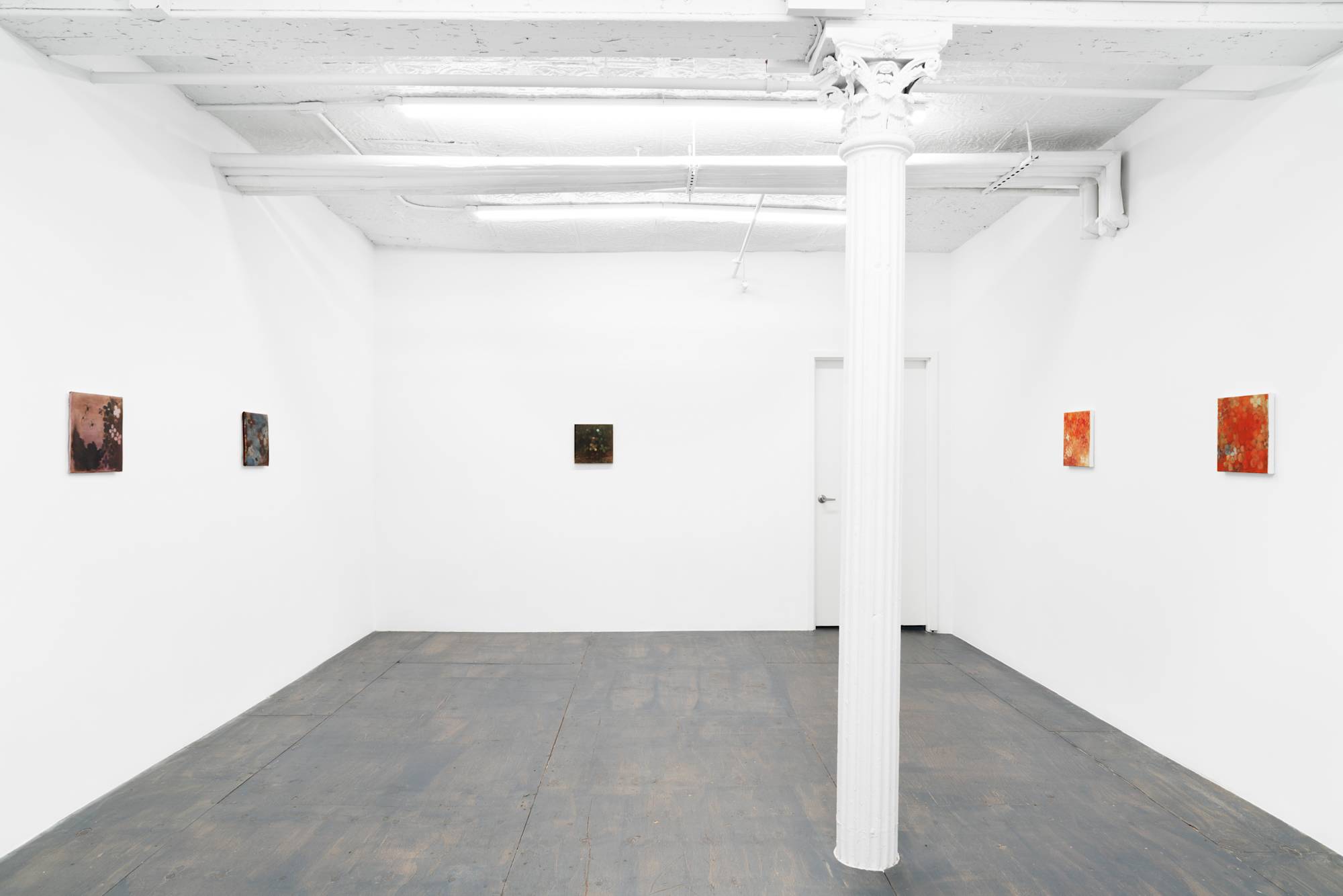 Five small abstract paintings of flowers featuring various colors spaced evenly throughout a brightly lit gallery space.