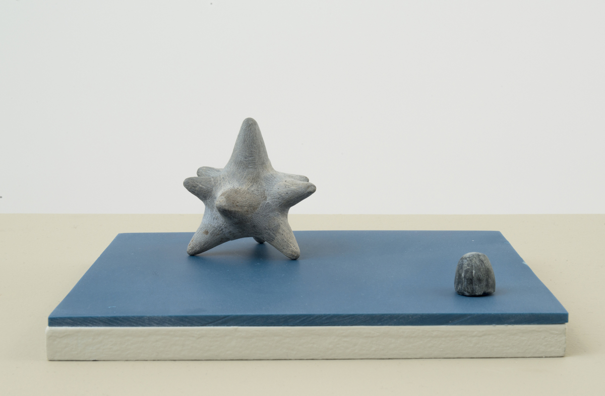 Two miniature sculptures resembling organic matter found in nature. One is sculpted in the formation of a multi-pointed star. The objects are resting on top of a blue-tinted plinth with a white wall partially visible behind them. 