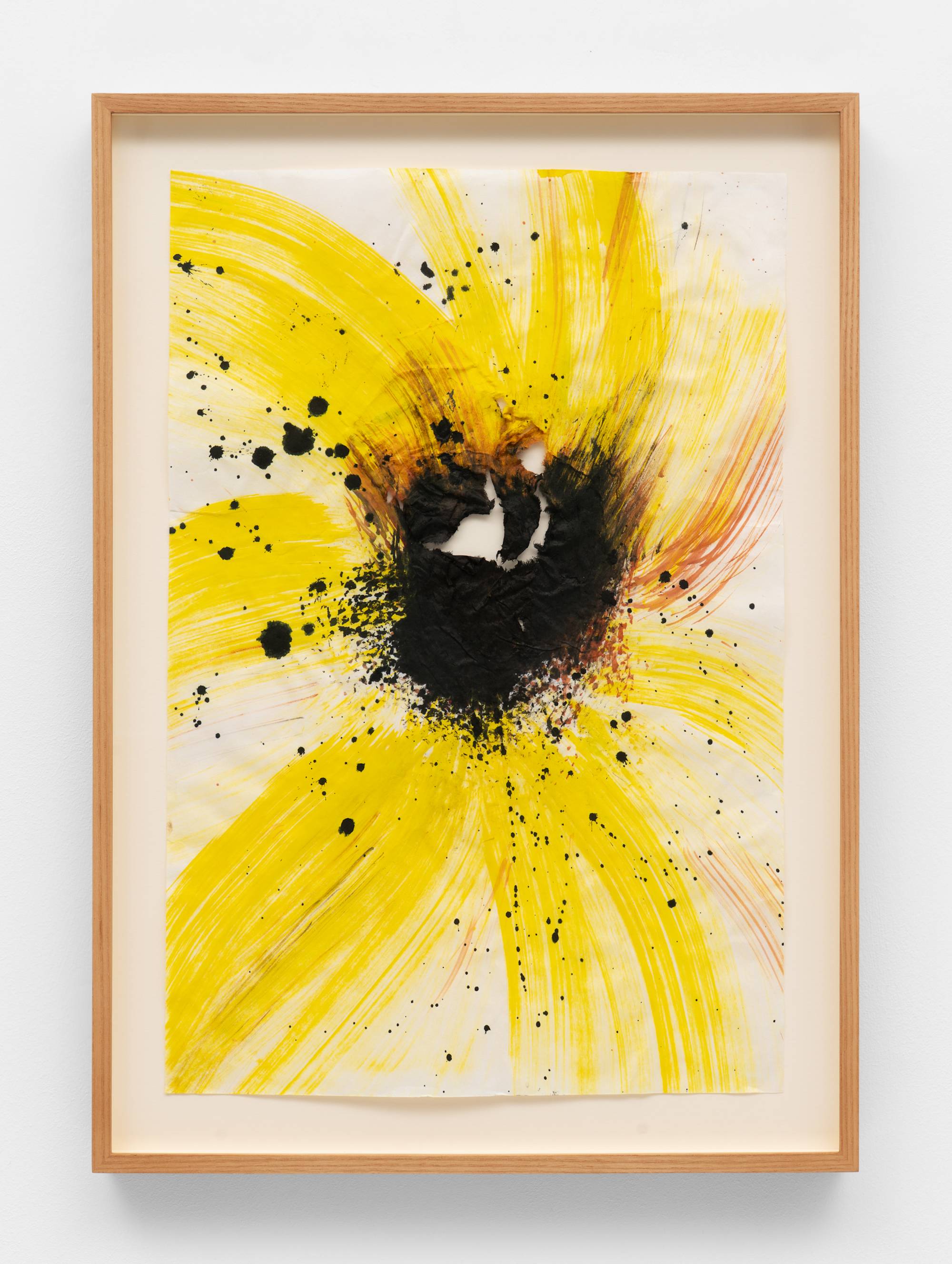 An ink painting on white paper, depicting a close-up view of a sunflower: its petals are a cool yellow, and rendered in sweeping, gestural brushstokes, and the center of the flower is executed in splattered black ink. The paper is torn at the black center of the flower. The frame and the wall the work is mounted on is visible in the shot.