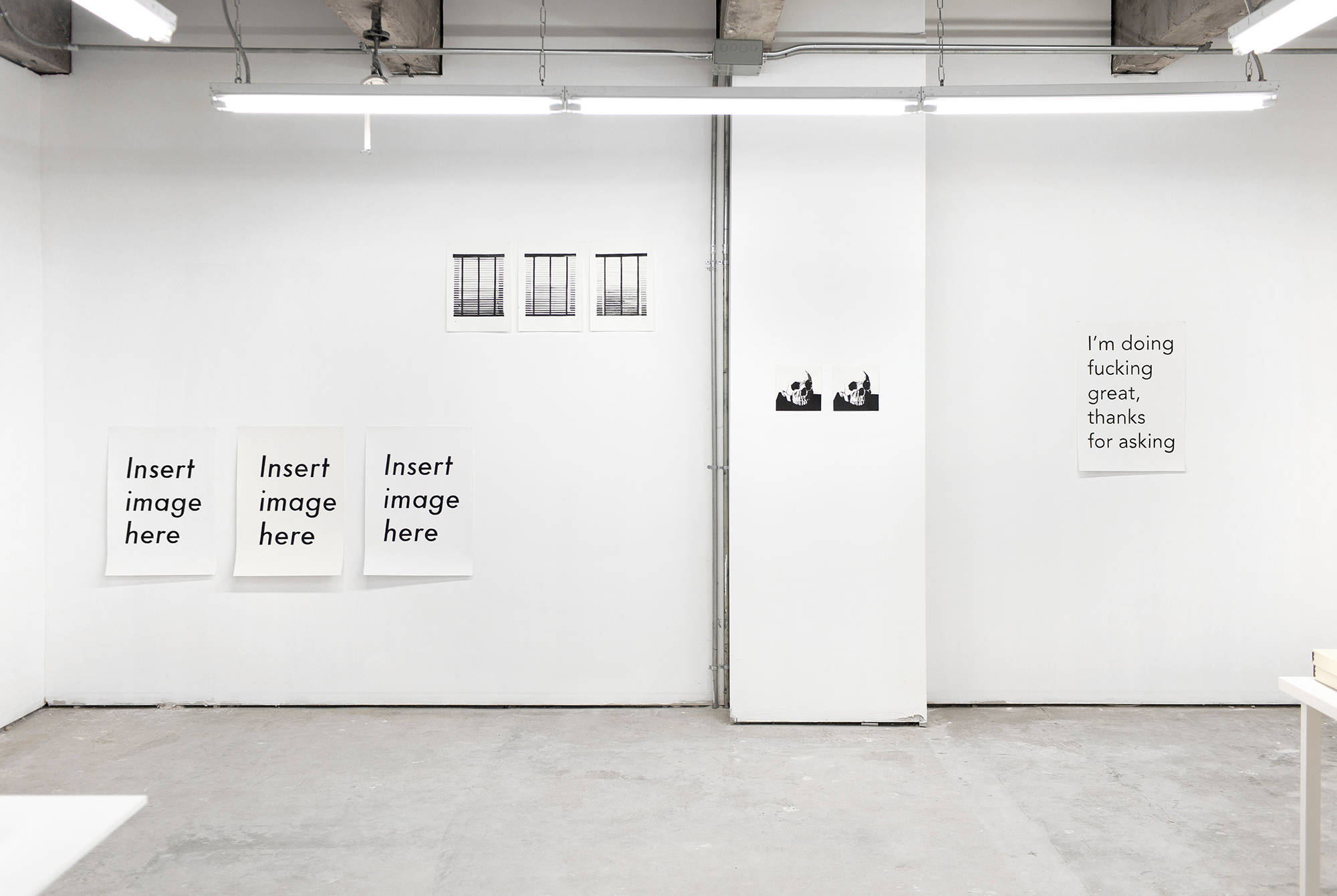 In a gallery space, groups of black and white drawings hung directly to the wall. Three drawings read "Insert image here." Other drawings depict two skulls. Another drawing reads "I'm doing fucking great, thanks for asking.