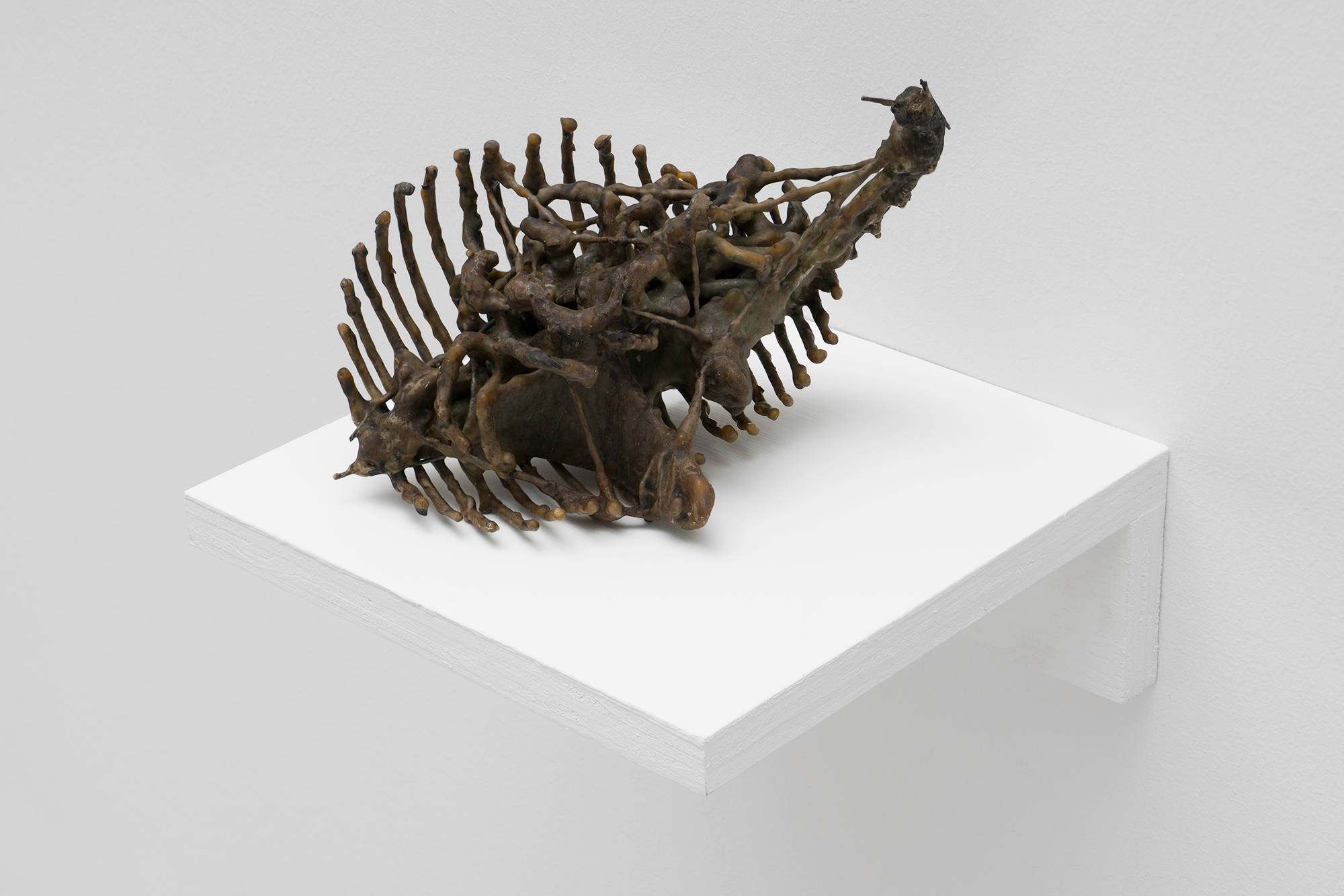 A brown, abstract sculpture by Matt Hoyt sits on a white shelf. The sculpture is highly textured and wiry. It resembles the ribcage of an alien creature.