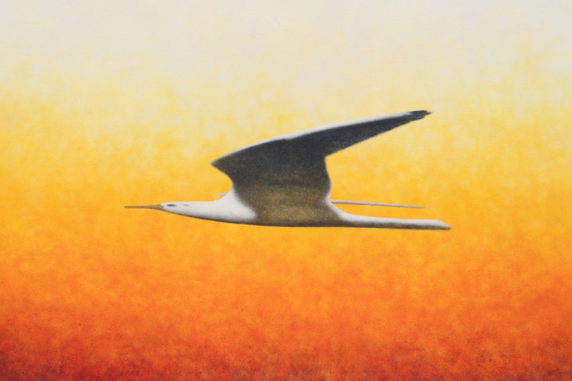 Detail of Ian Miyamura painting depicting a stretched seagull flying to the left against an orange gradient stippled background.
