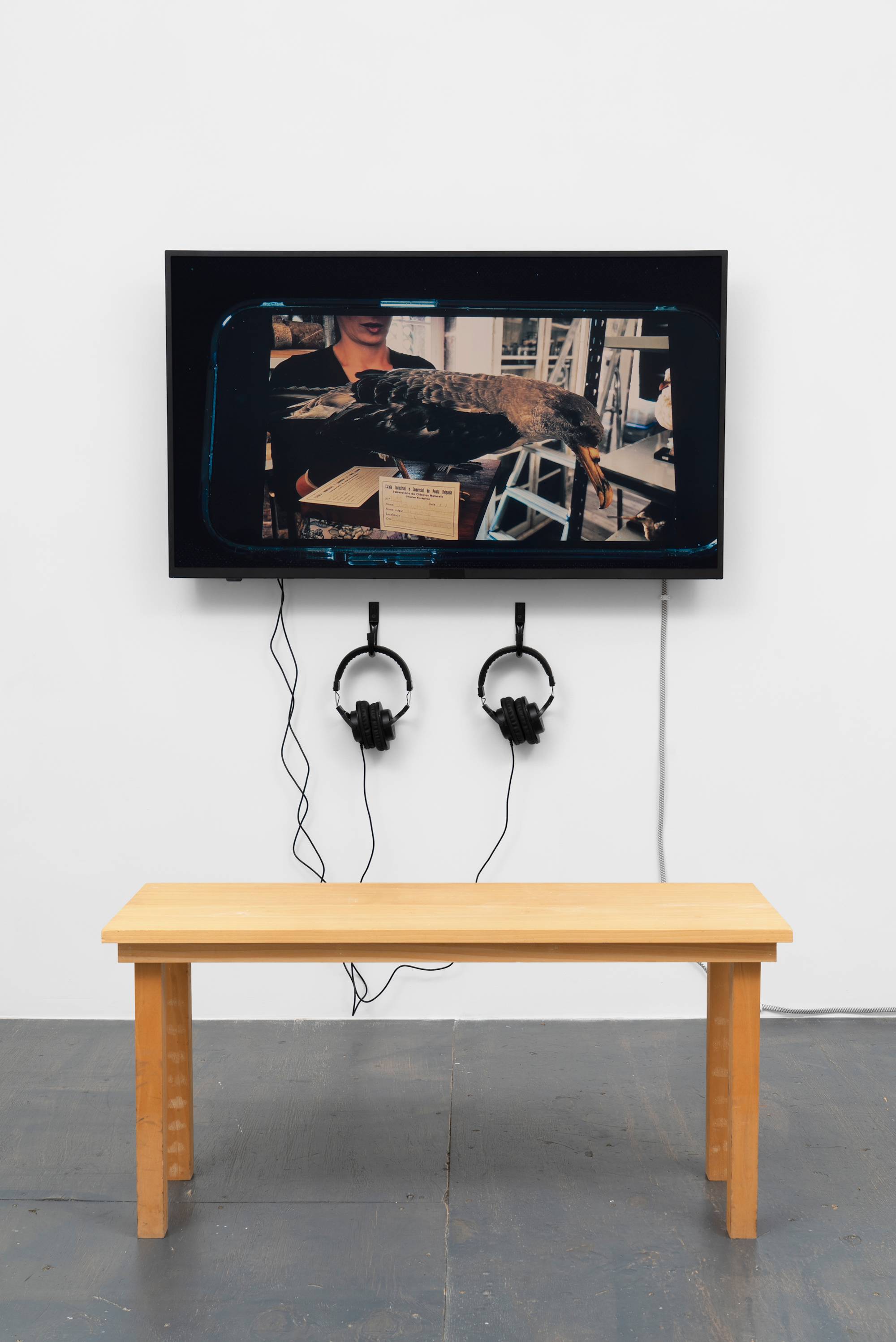 A monitor displaying Ellie Ga's film 'A Night at the Marina' hangs above a grey floor. Two pairs of headphones extend from the monitor. A wood bench sits in front of the monitor.