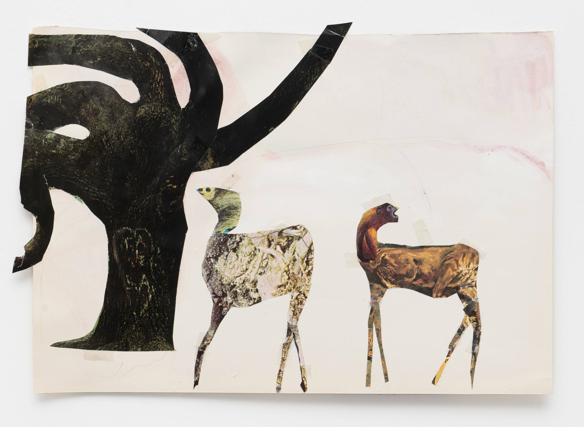 A collage of two abstract animals standing beneath a tree. The animals are constructed from images of different animals. The tree features a heart carved into its trunk. A light pink stains the upper right corner of the image.