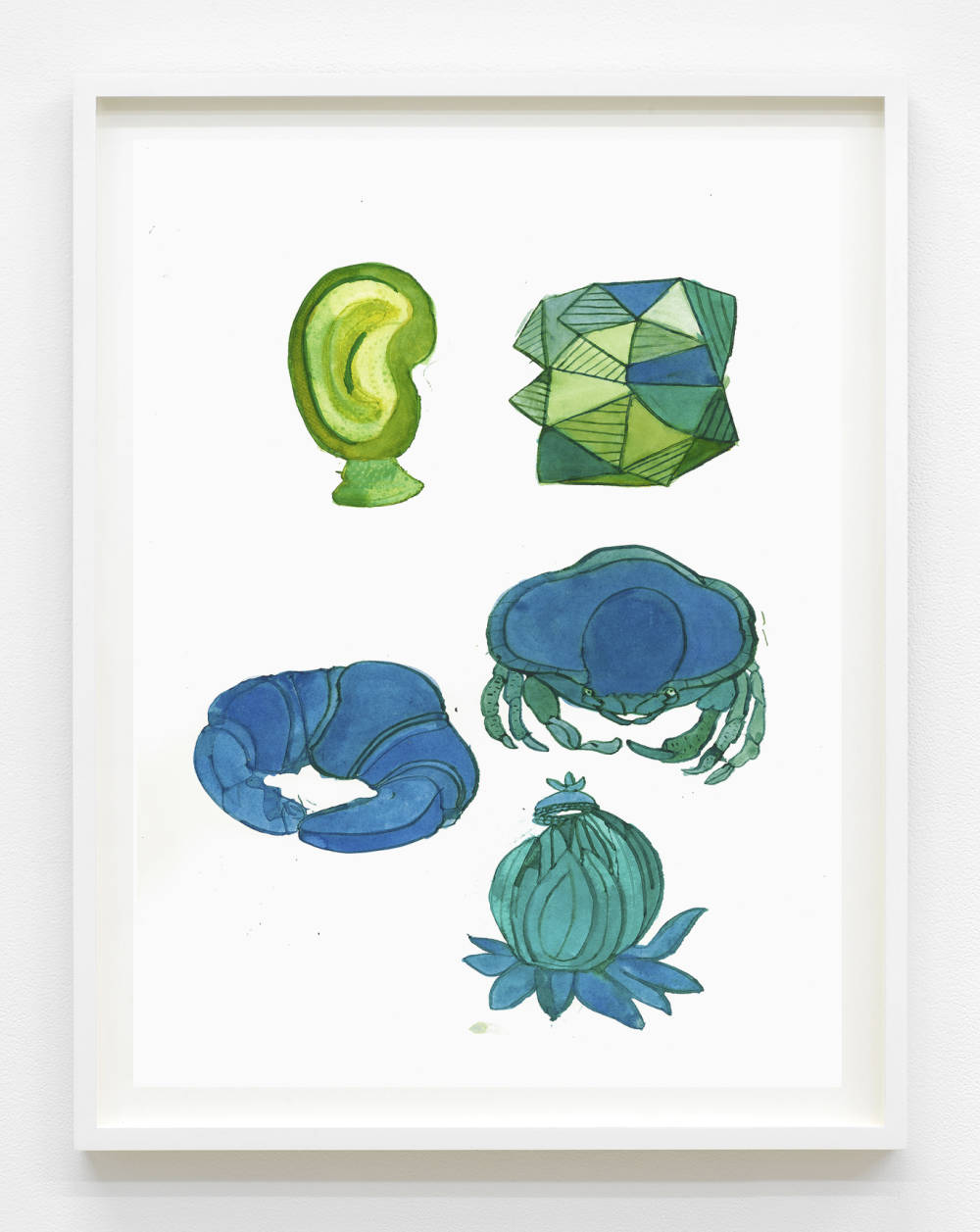An ink drawing in a white frame displaying a number of objects in green and blue watercolor floating on a white background: an ear, a geode, a croissant, a crab, an artichoke.