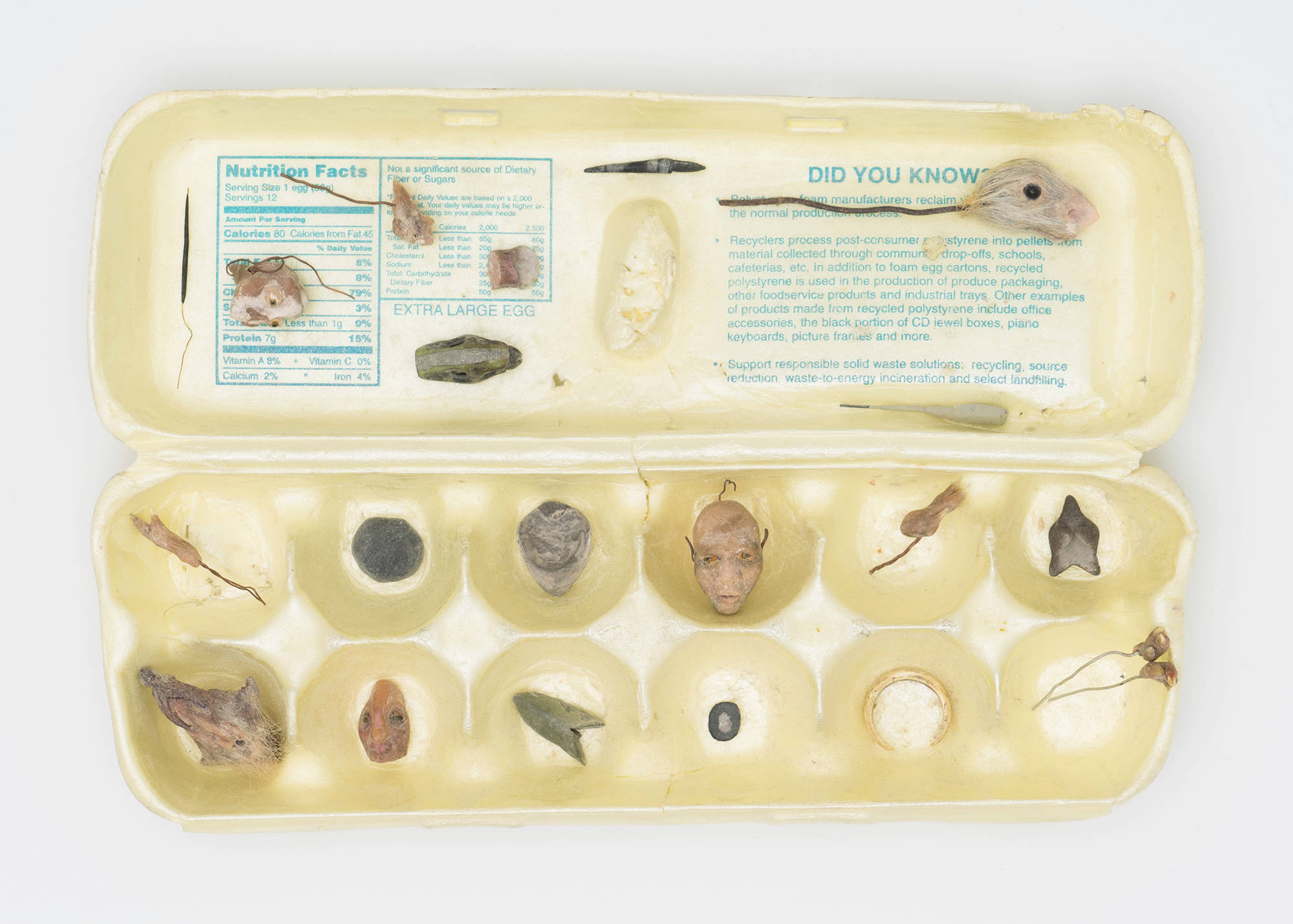 An antique yellow styrofoam egg carton contains various parts of models by artist Matt Hoyt. The models depict rodents and human figures.