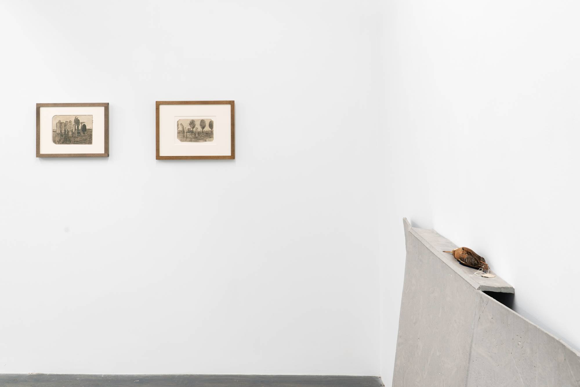 Installation view of gallery corner with two James Castles drawings and a Liz Magor sculpture.