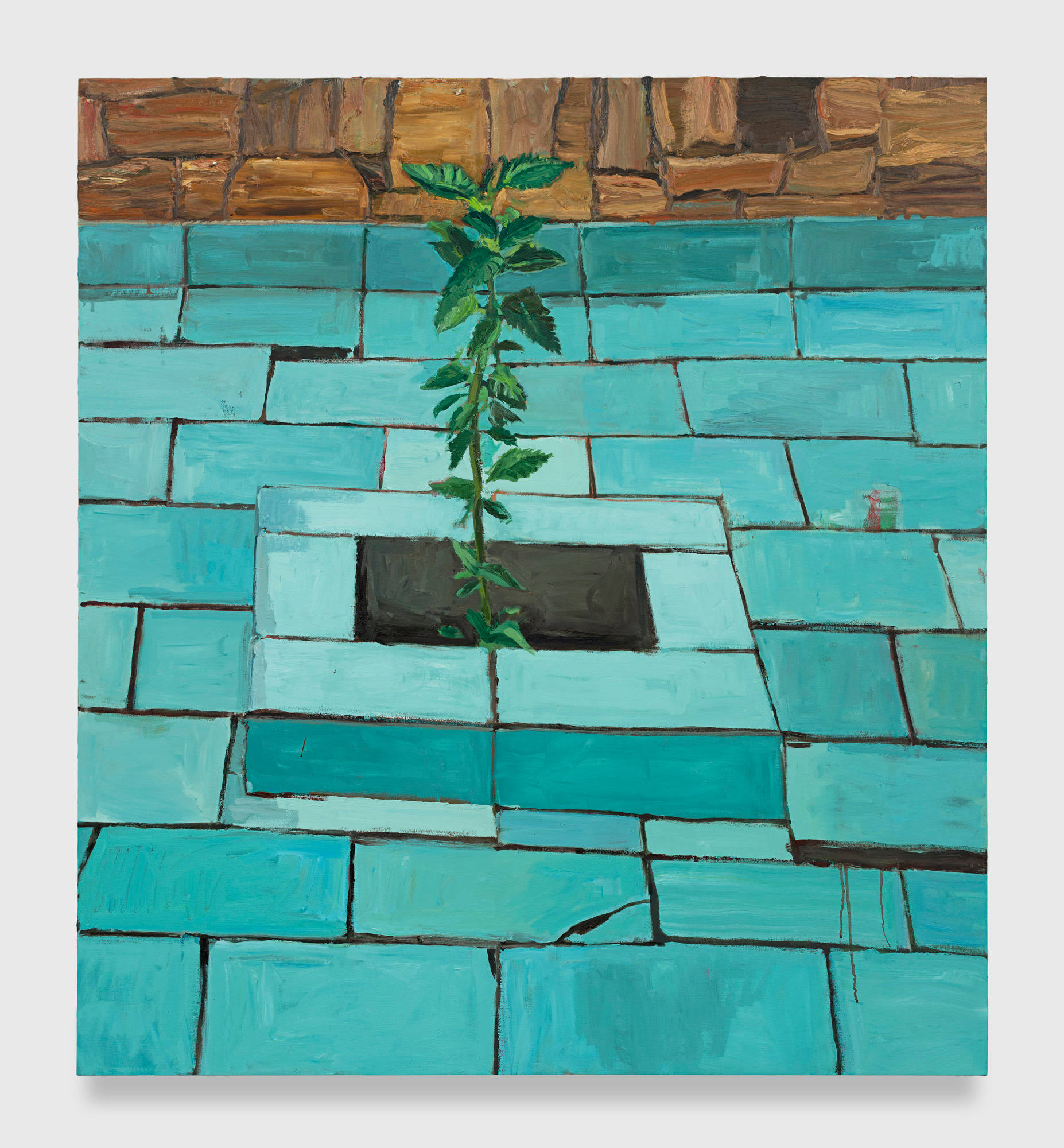 An oil painting on canvas depicts a plant reaching out from the raised section of a teal tiled floor. An edge of sand colored stone work is visible at the top of the painting.