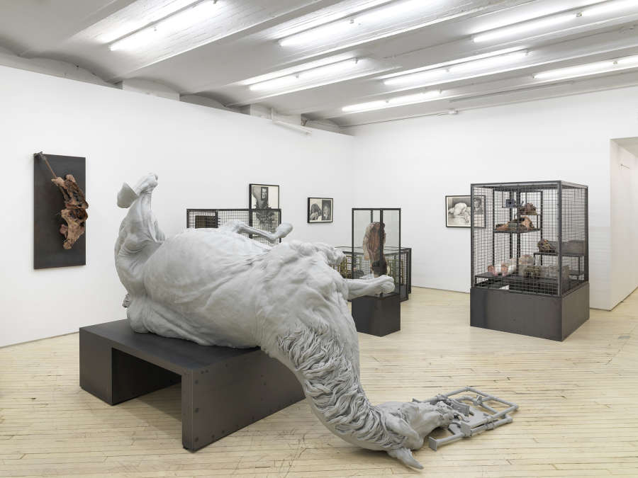 A gallery space filled with many large metal sculptures resembling cages. In the center is a sculpture of a fallen horse. The walls are lined with framed graphite drawings. 