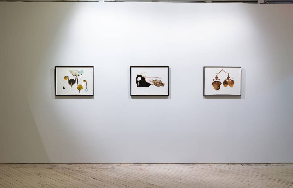 In a darkened gallery space, three framed drawings hung evenly spaced apart on a wall. The drawings depict abstracted forms. The room is spotlit.
