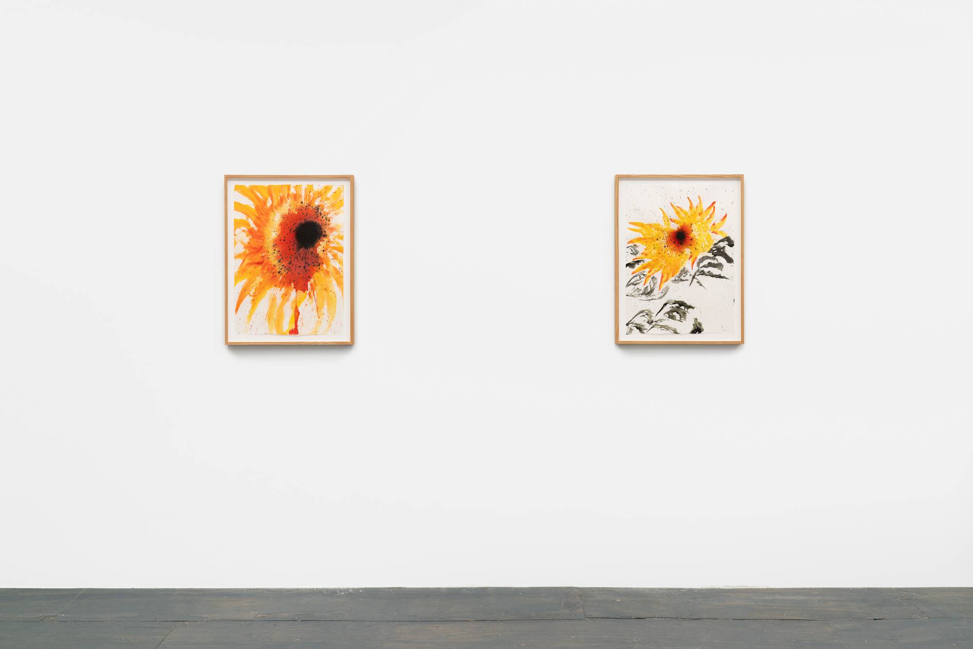 Two ink paintings of sunflowers mounted on a white wall: the left painting depicts a close-up of an orange and black head of a sunflower, the right depicts a smaller, yellower sunflower above black leaves and stems.