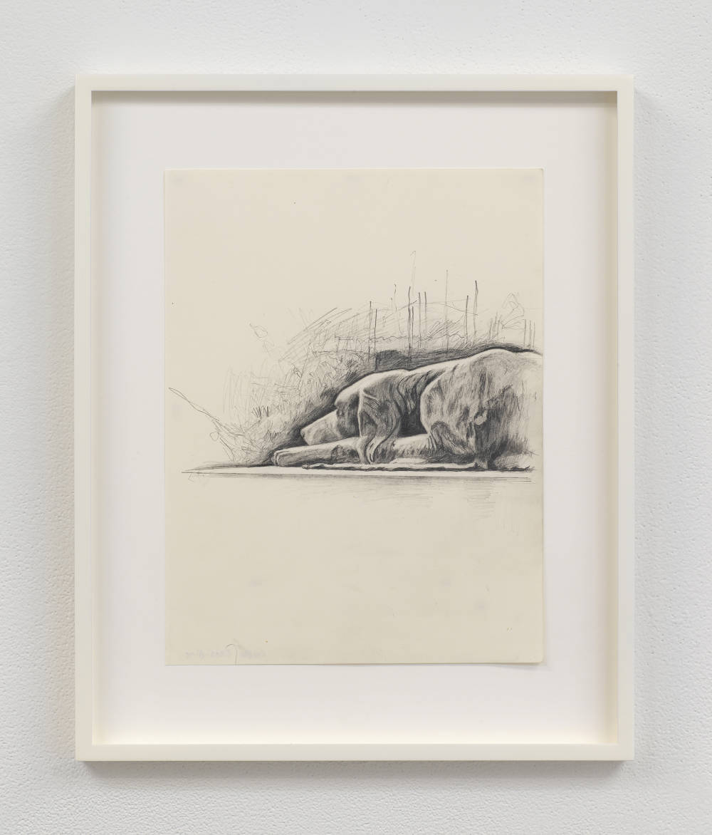 Image of a drawing framed in white and hung on a gallery wall. The drawing depicts a stone dog sculpture in a cemetery, a head and body visible only.