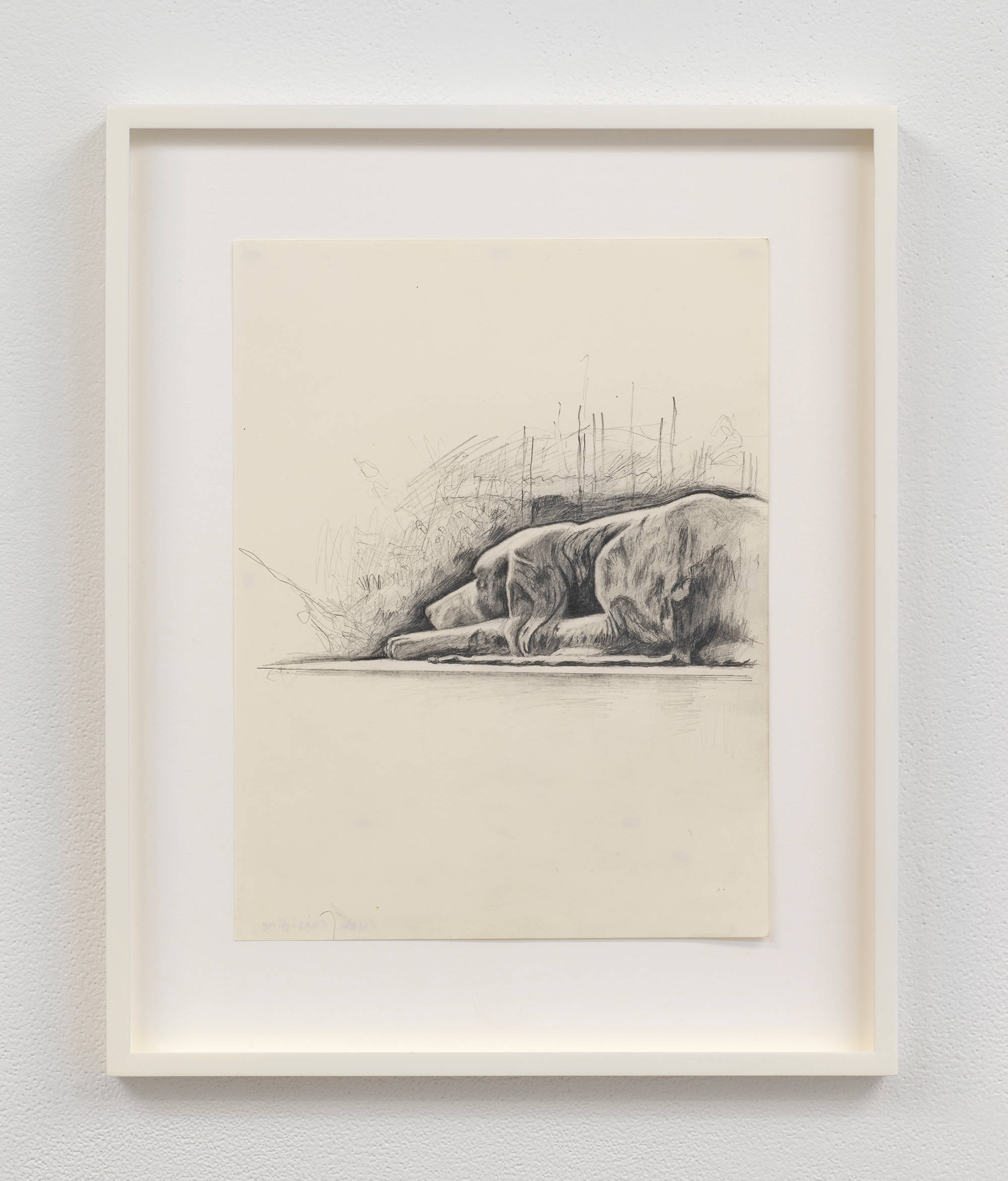 Image of a drawing framed in white and hung on a gallery wall. The drawing depicts a stone dog sculpture in a cemetery, a head and body visible only.