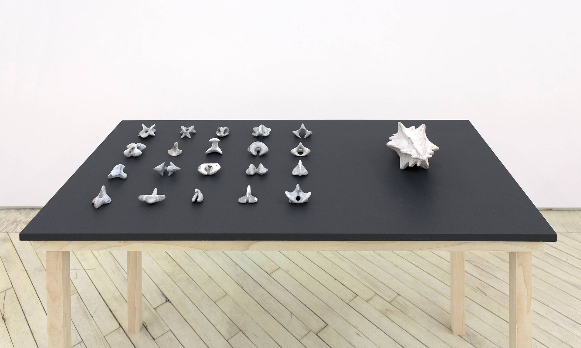 Installation view of several sculptures in a gallery by Matt Hoyt a depicting black table with wooden legs upon which hand made sculptures sit. On the left of the table is a large grid of many small sculptures, referencing stones, shells, bugs, etc. the sculpture on the right looks similar to large conch shell.
