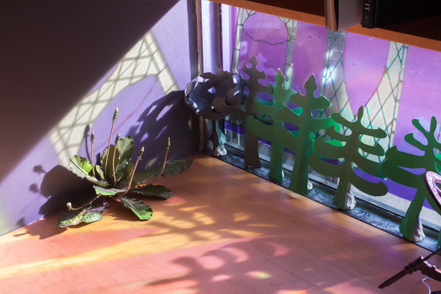 Image of a small stage set up with purple walls, a fake plant, and green, cut-out trees, which cast purply shadows on a pink and yellow floor. Projected light and shadows create shapes on the adjacent walls.