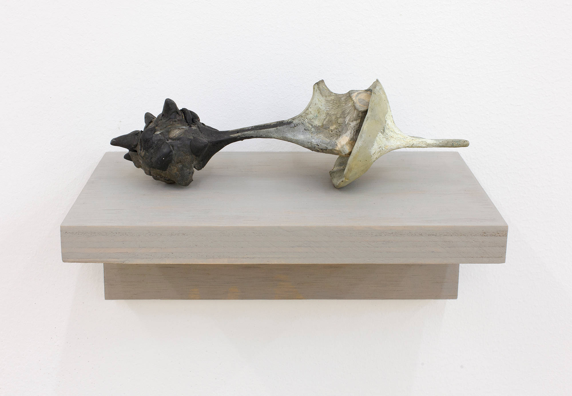 A close-up of a handmade sculpture resembling a bone formation or other organic material. The sculpture is resting on a gray shelf installed directly to the wall.