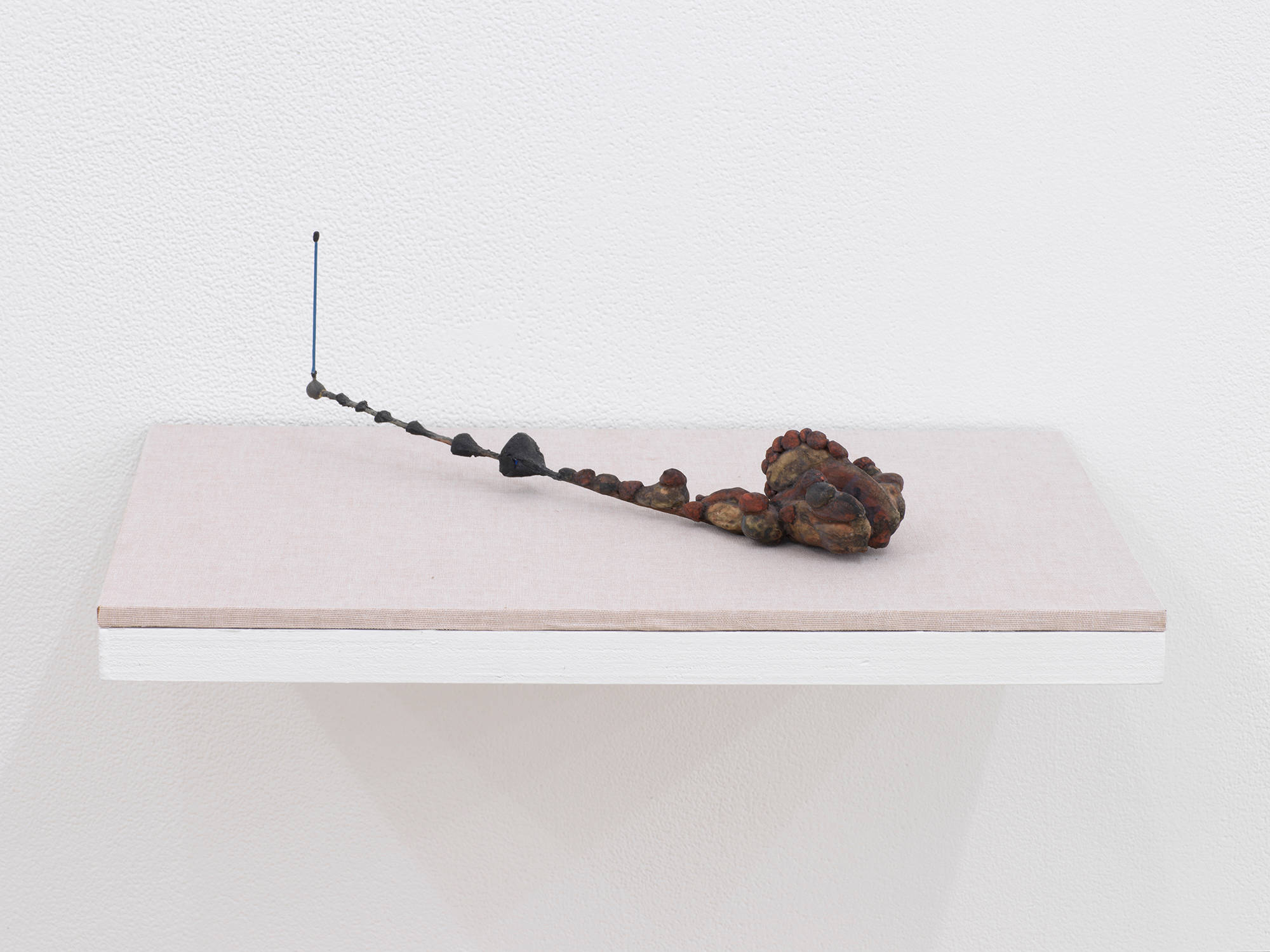 A small abstract sculpture resembling a kind of fossil or combination of found organic materials. The object is primarily brown and resting on a tan shelf attached to a white wall.