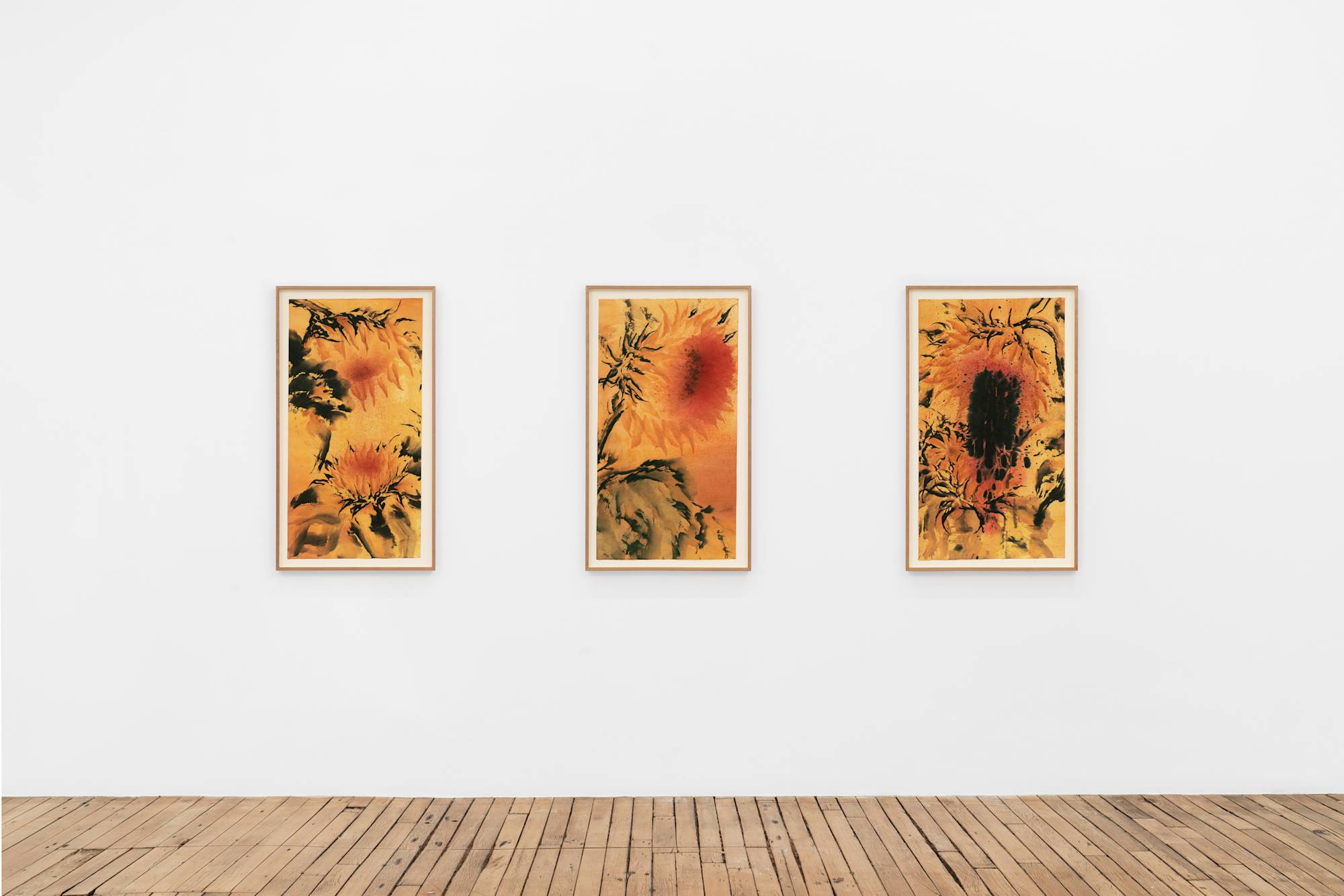 Three ink paintings of yellow-orange and ochre sunflowers with black leaves and stems hang in a horizontal row in a white-walled gallery and a wooden floor.