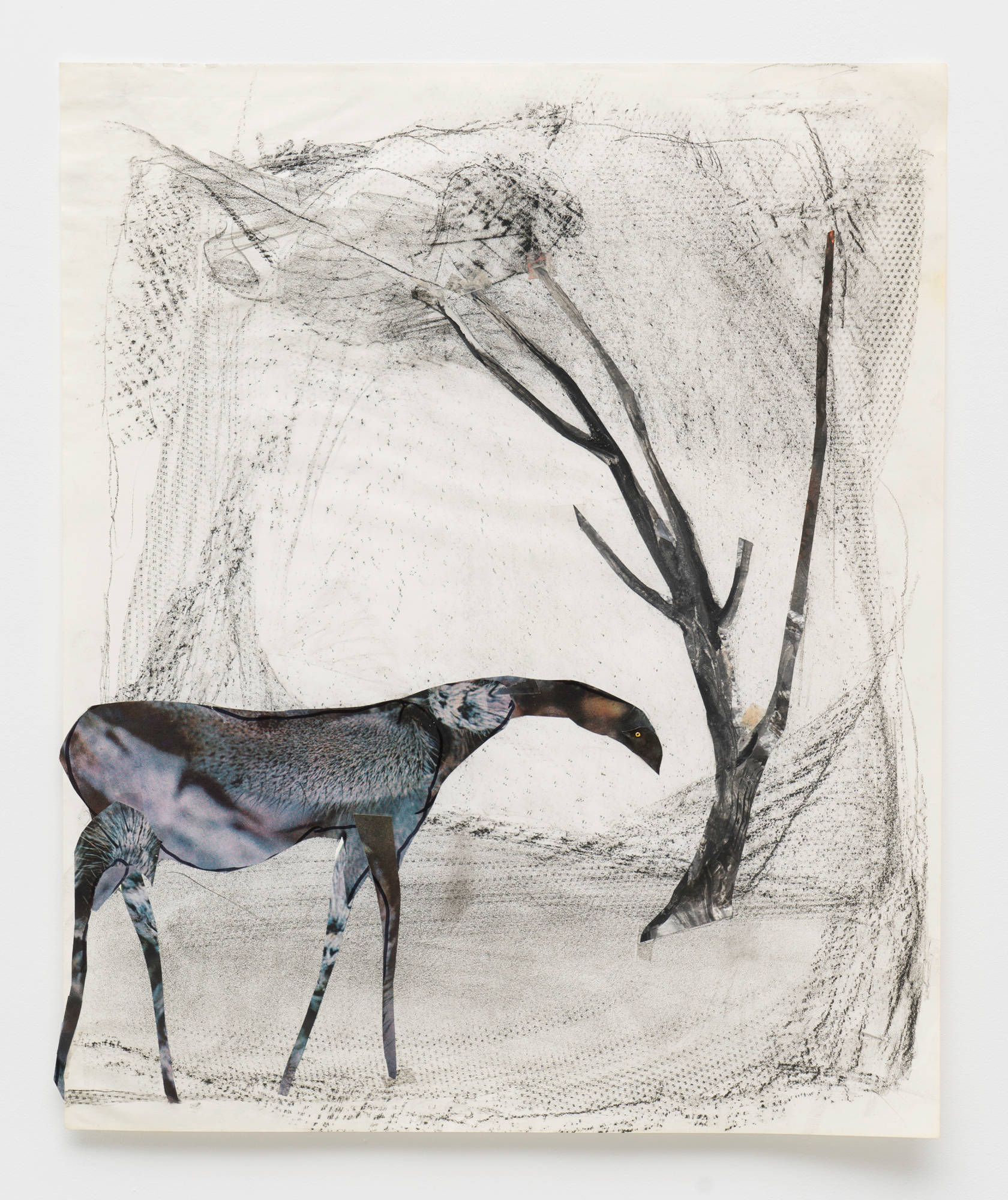 A paper collage depicting an abstract animal constructed from images of different animals stands at the foot of a bare tree.