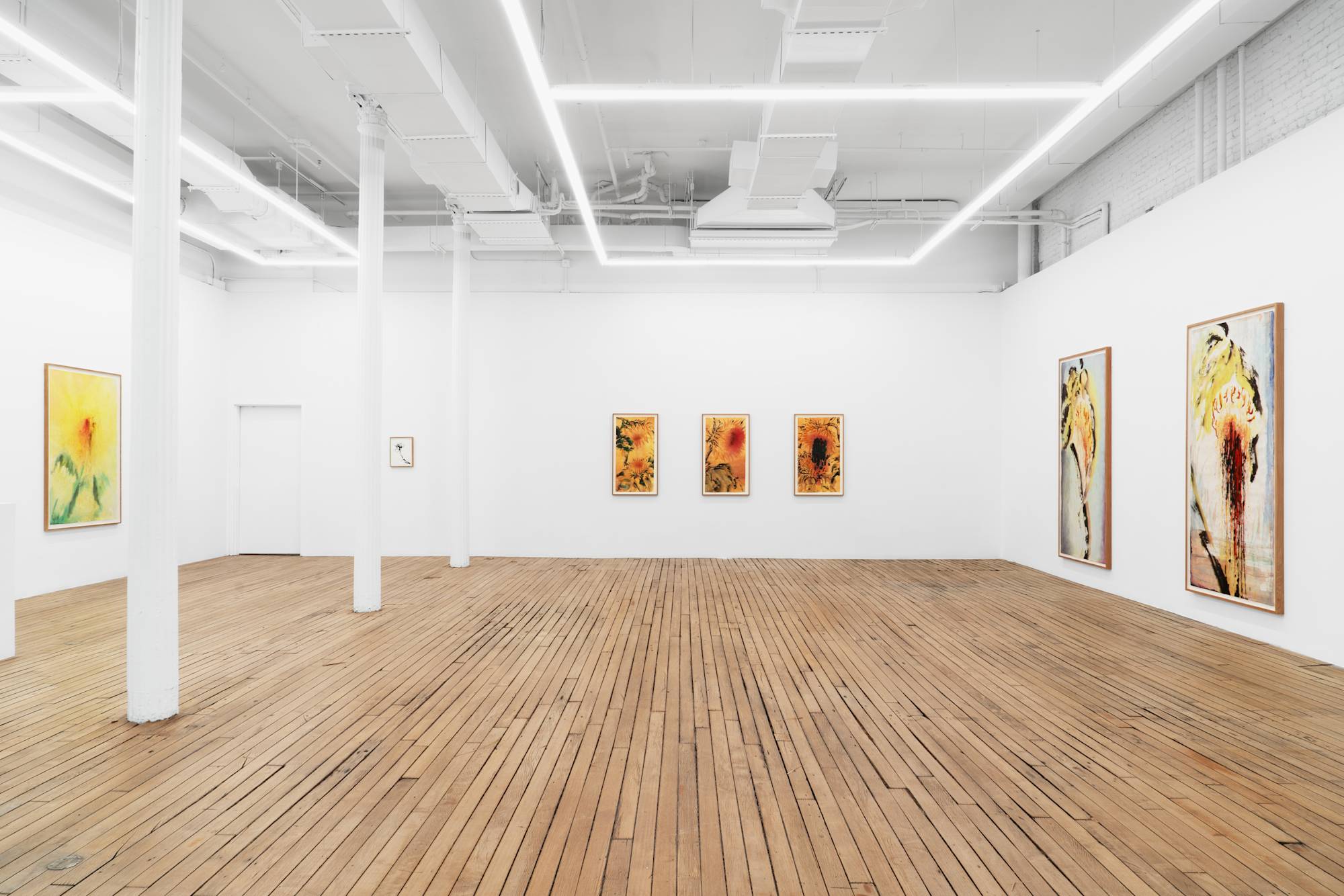 Six ink paintings of sunflowers of various scale hang in a white-walled gallery with a grey floor.