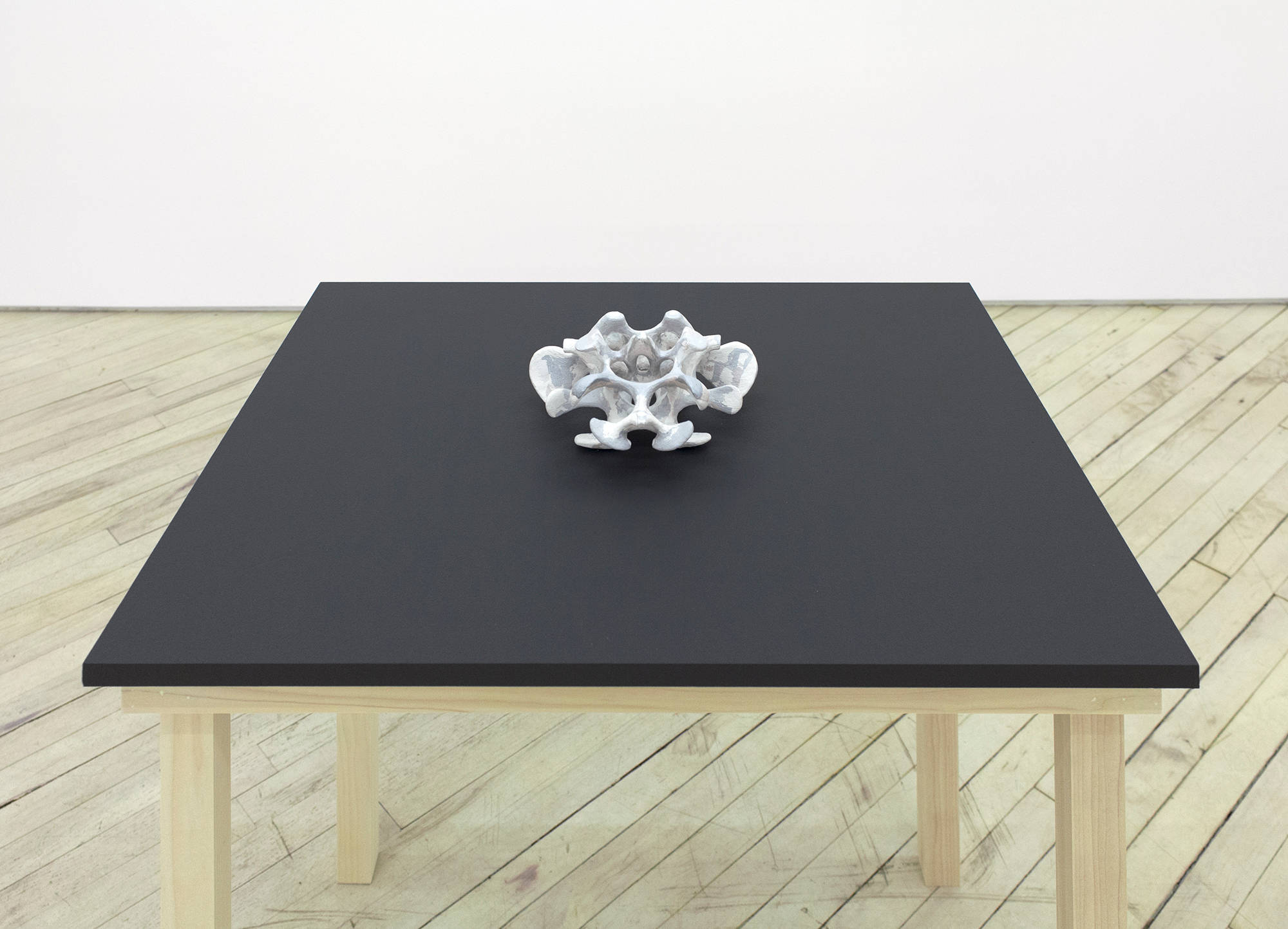 Installation view of a single sculpture in a gallery by Matt Hoyt a depicting black table with wooden legs upon which the sculpture sits. The sculpture at the center of the table looks similar to a pelvic bone.