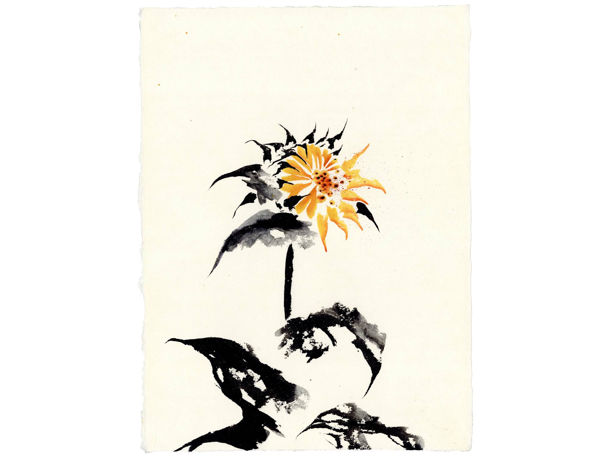 An ink painting on paper depicting an abstracted sunflower on a white ground.