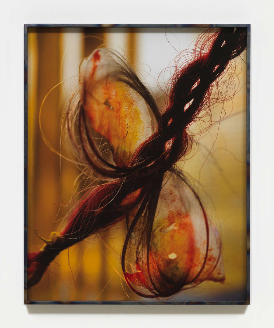 A framed photograph resembling a knot of braided hair rendered in a range of orange and red colors. 