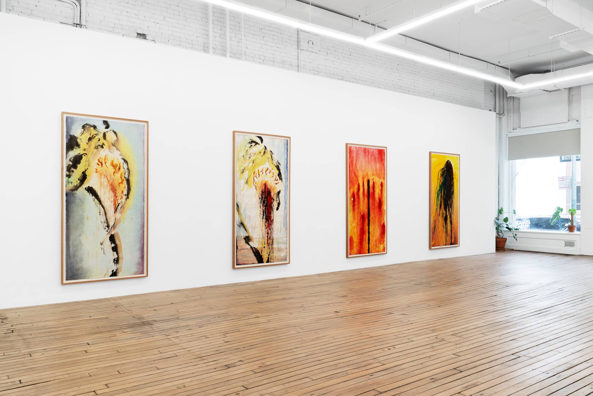 A diagonal shot of four large ink paintings of sunflowers hang in a white-walled gallery with a window and a wooden floor.