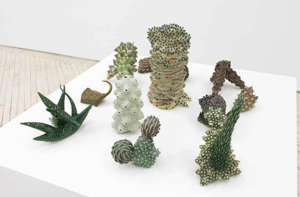 birds eye view of a white plinth of small ceramic sculptures that look like imagined cactuses in tones of white, green and brown and many small spikes.