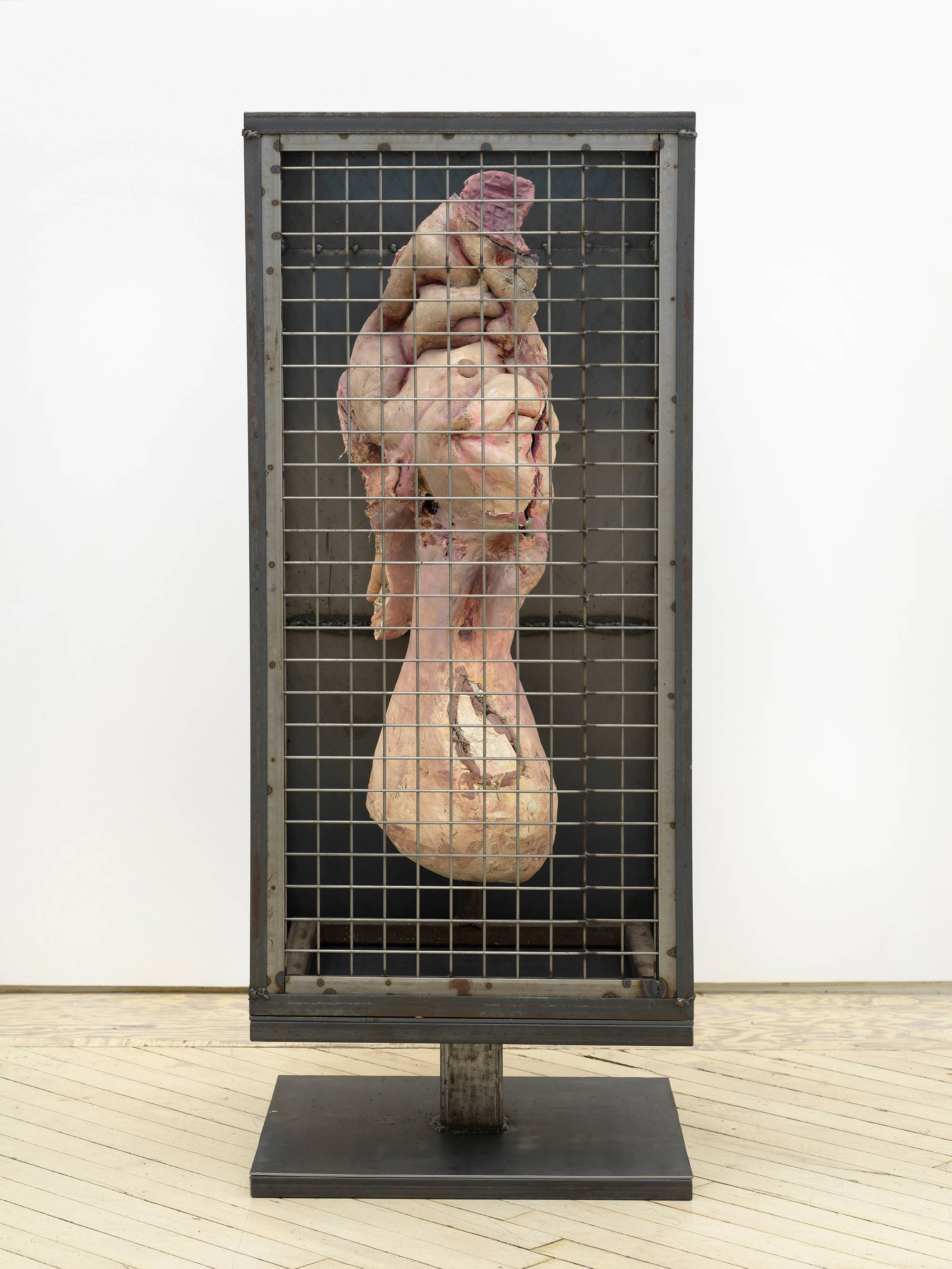 A standing steel sculpture resembling a cage containing an abstract form resembling human flesh.