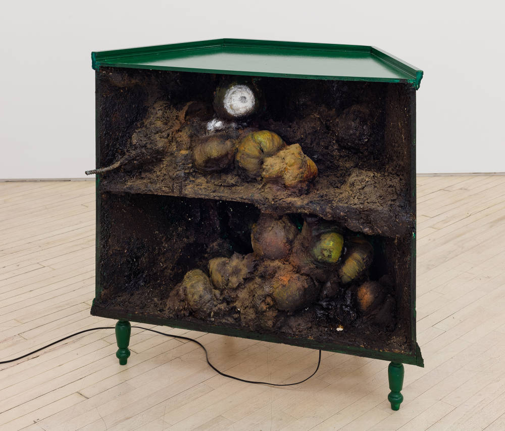 Image of a sculpture by Brandon Ndife. Freestanding in a gallery is what appears to be a piece of furniture, like a shelf or TV console intended to fit in a corner, painted green with dirt, debris and contained growth spilling from the interior shelves. What looks to be gourds are "growing" inside of the sculpture, painted like decayed flesh. There is an electrical wire leading to the bottom of the sculpture.