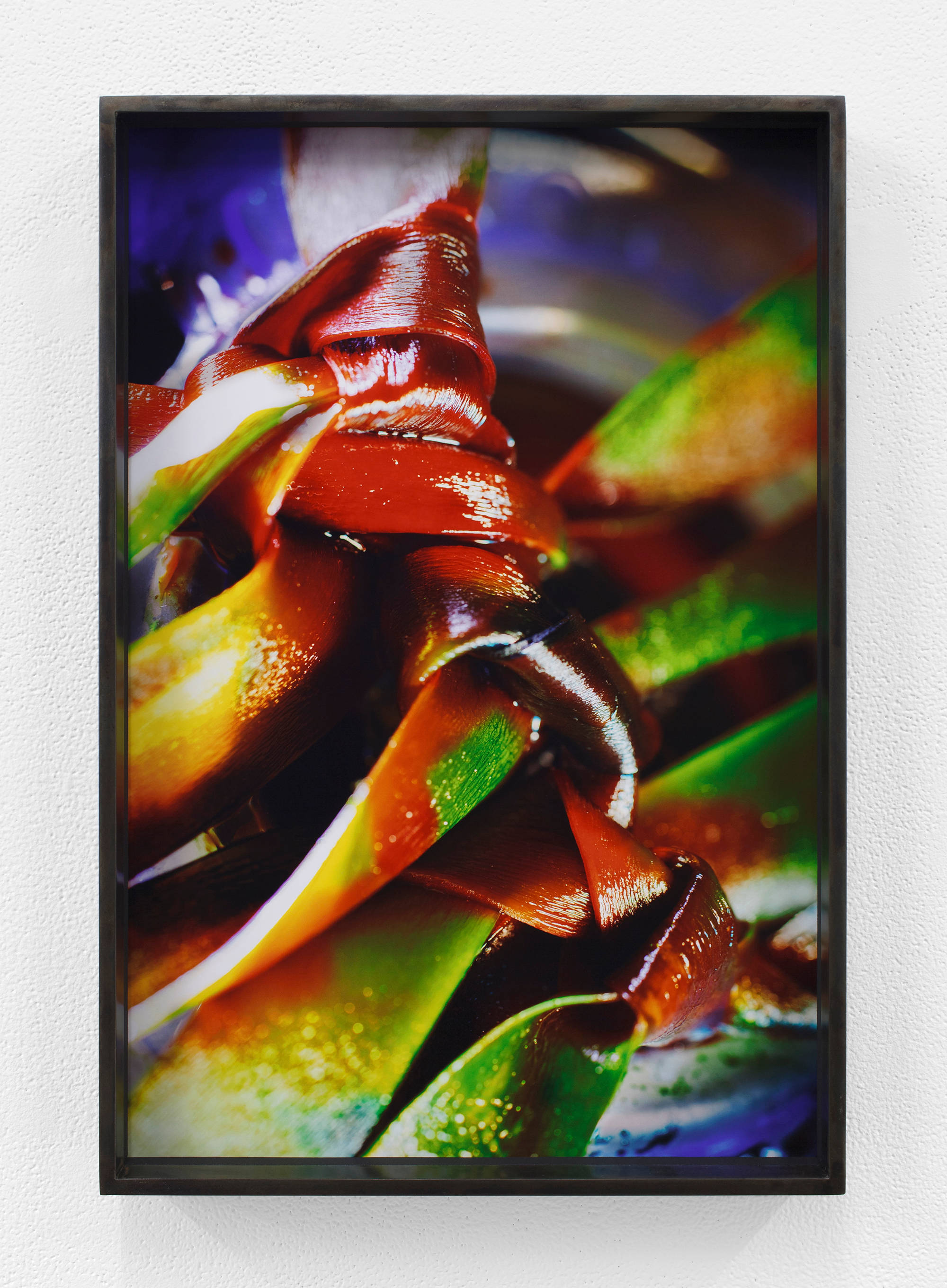 Green strips of some material that looks like plant matter is braided and bound together in a hair-like braid, the strips splatter with a red liquid.