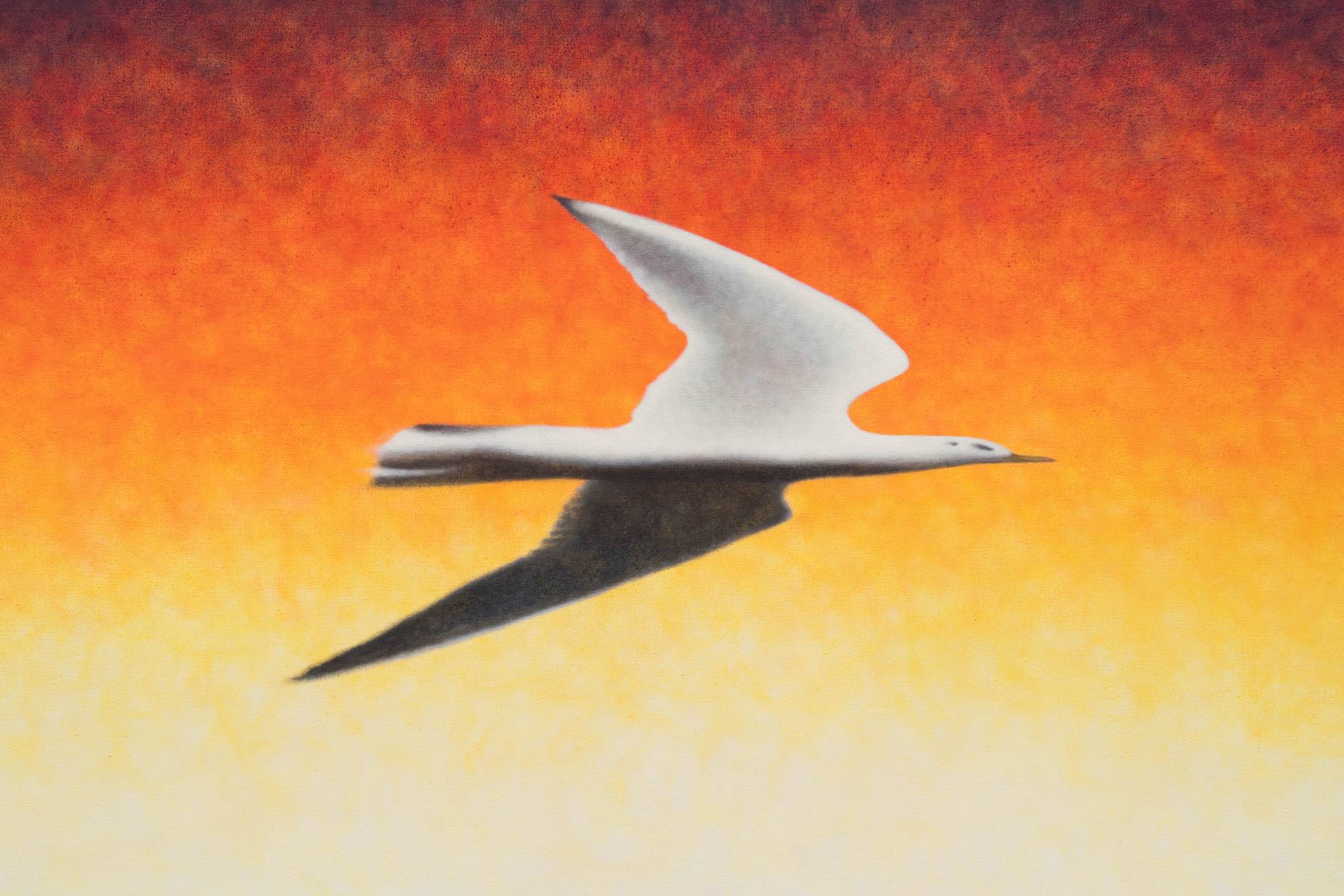 Detail of Ian Miyamura painting depicting a stretched seagull flying to the right against an orange gradient stippled background.