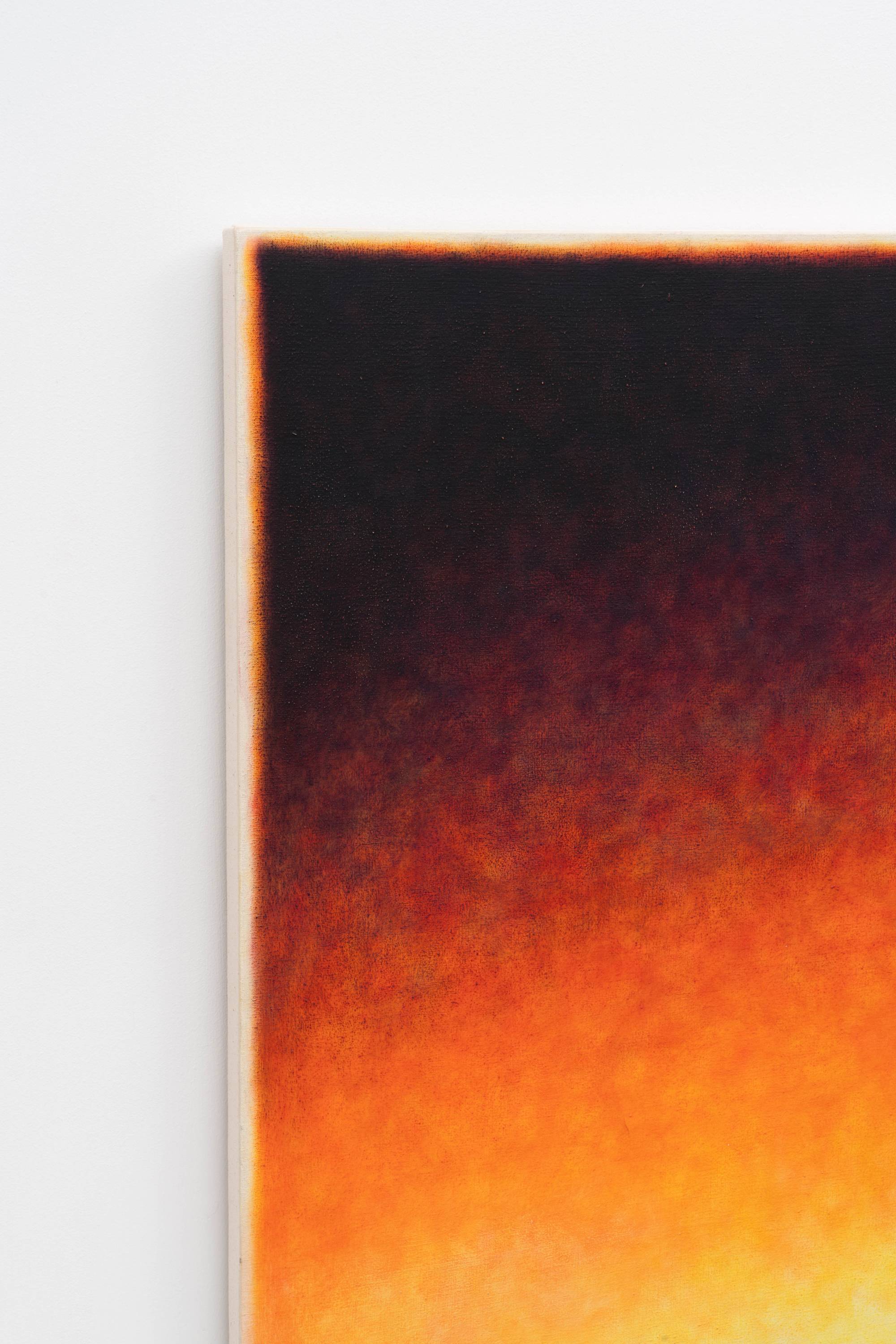 Detail of Ian Miyamura painting depicting a stretched seagull flying to the right against an orange gradient stippled background.